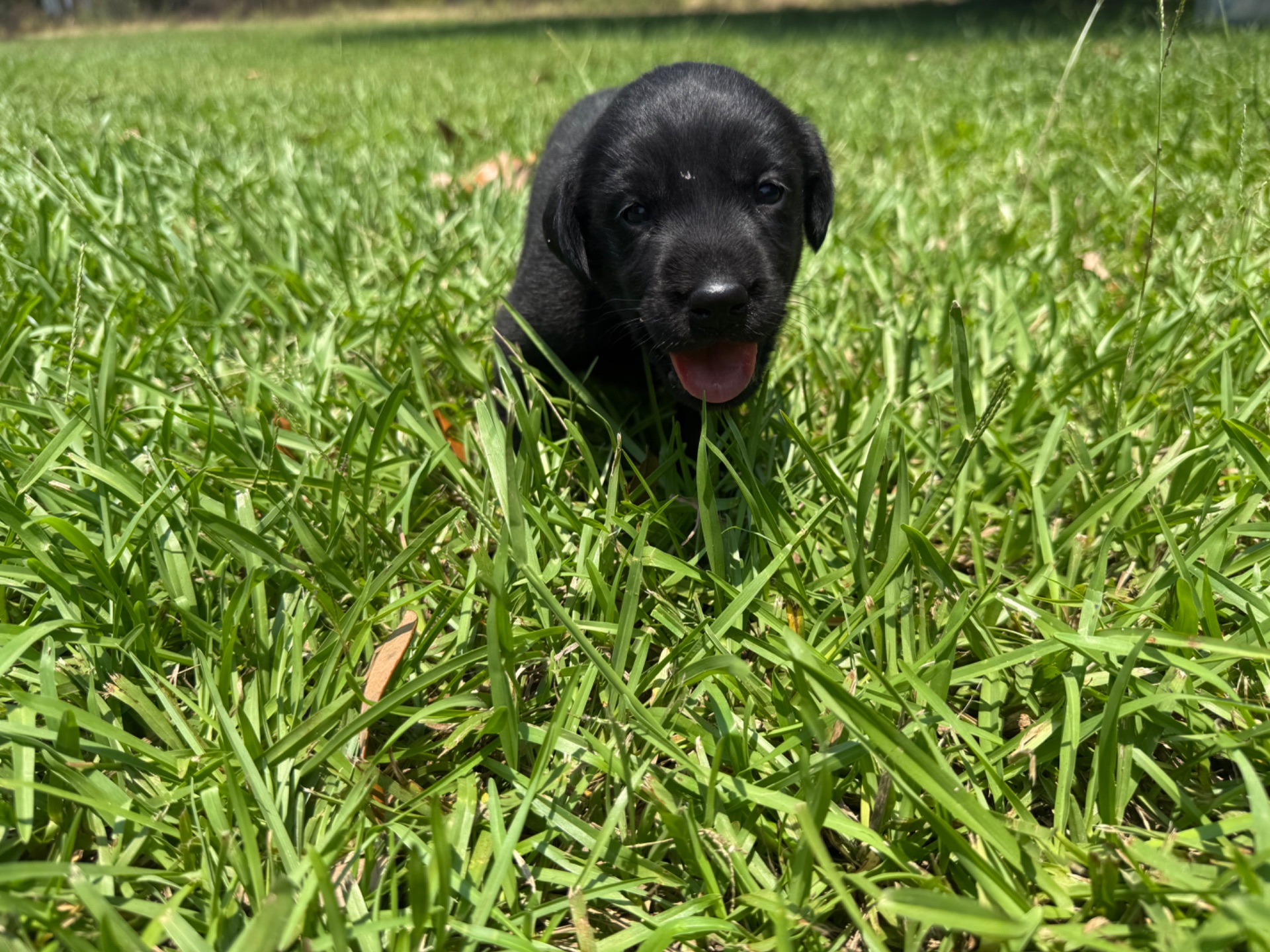 Evie 26 photo 2
