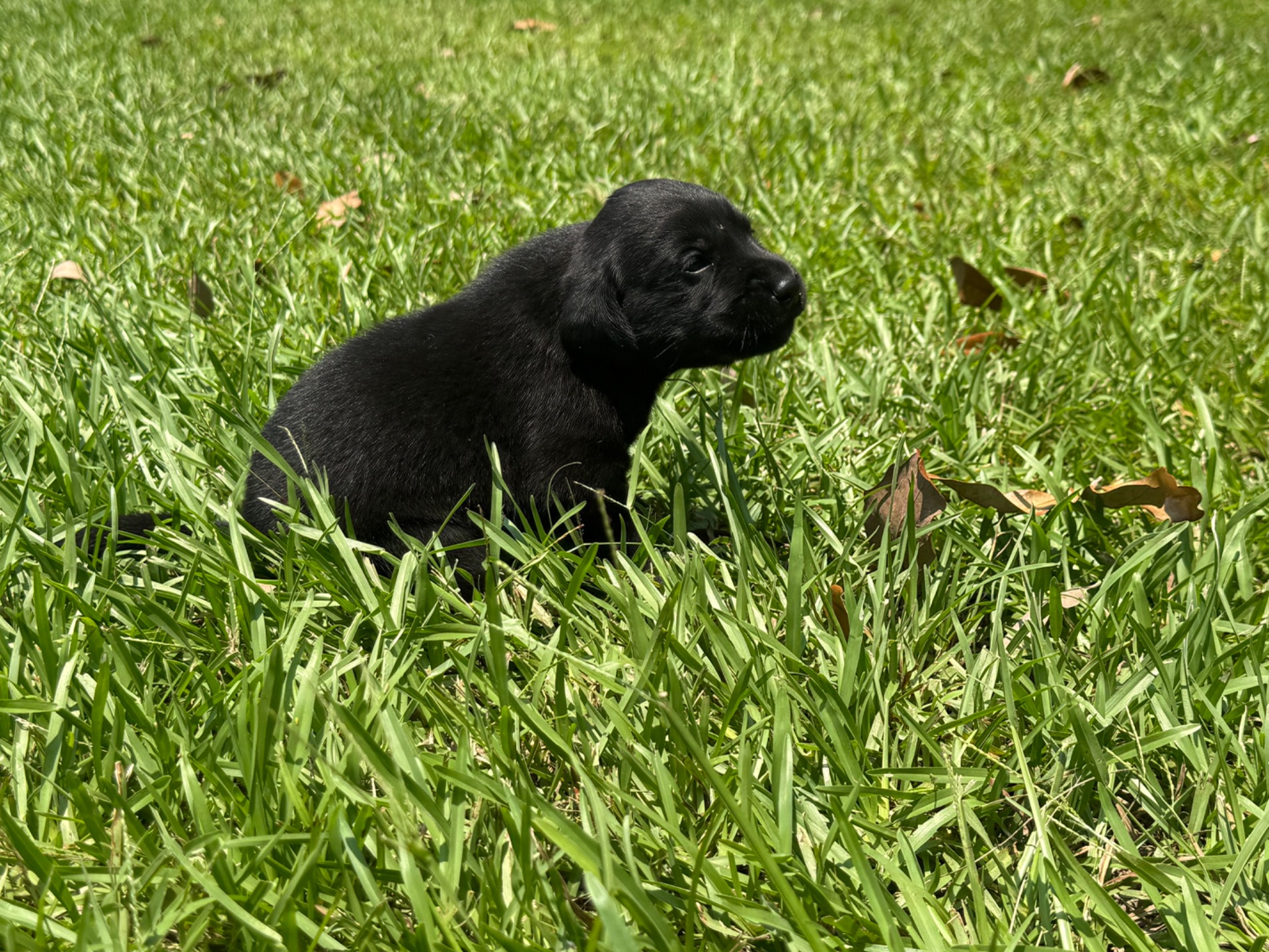 Evie 26 photo 3