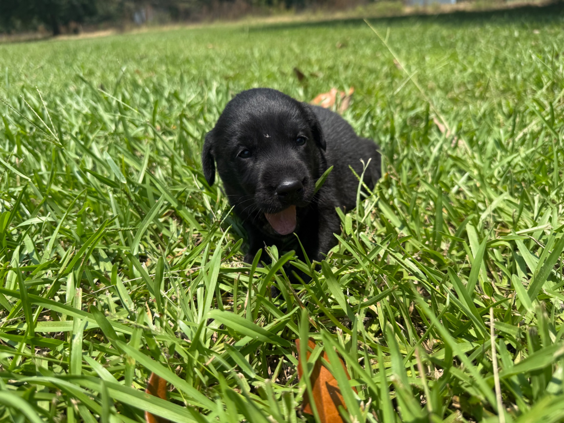 Evie 26 photo 5