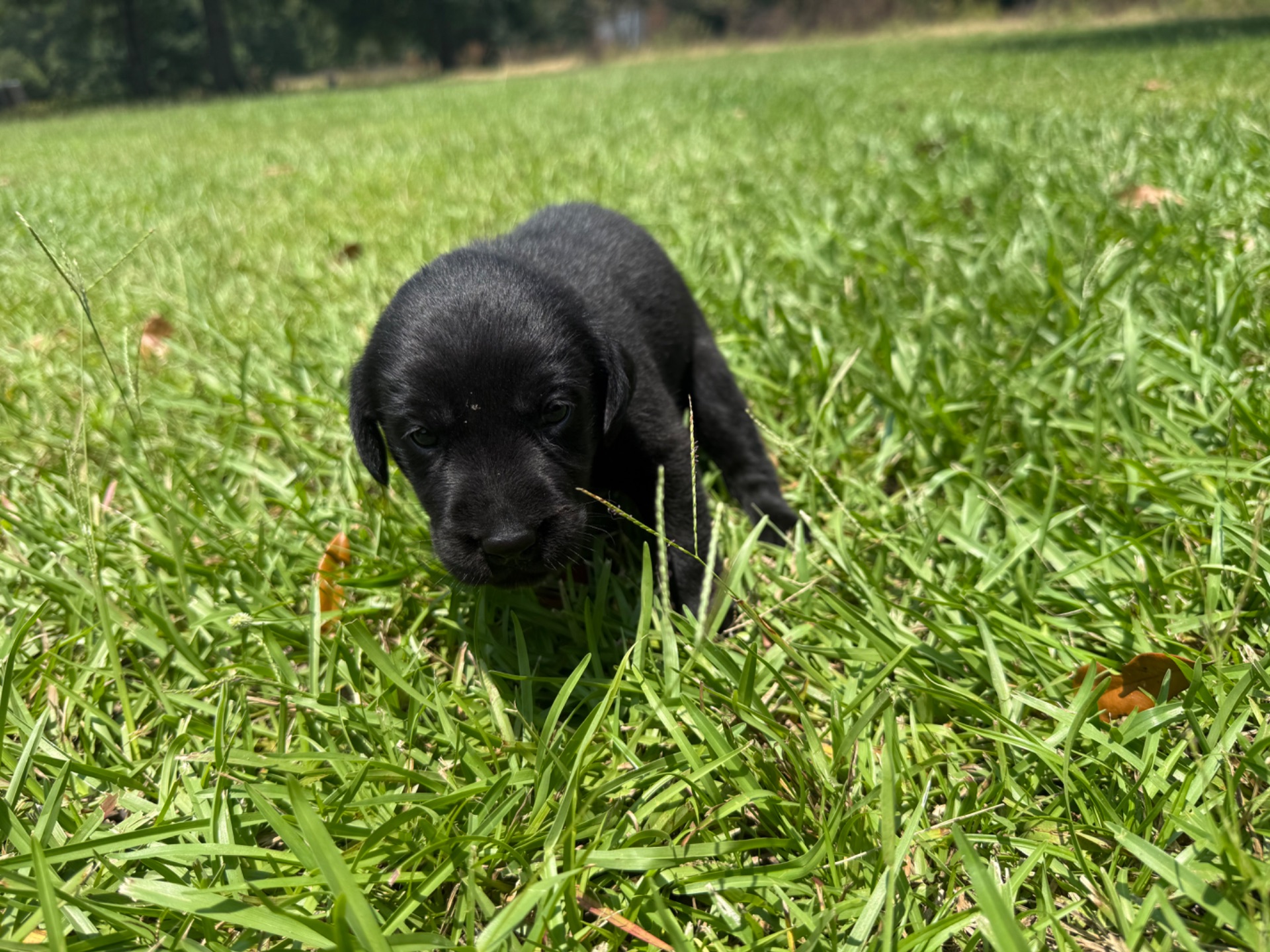 Evie 26 photo 6