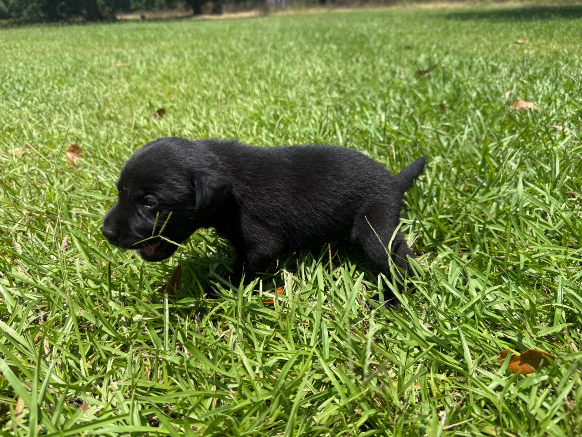 Evie 26 photo 7