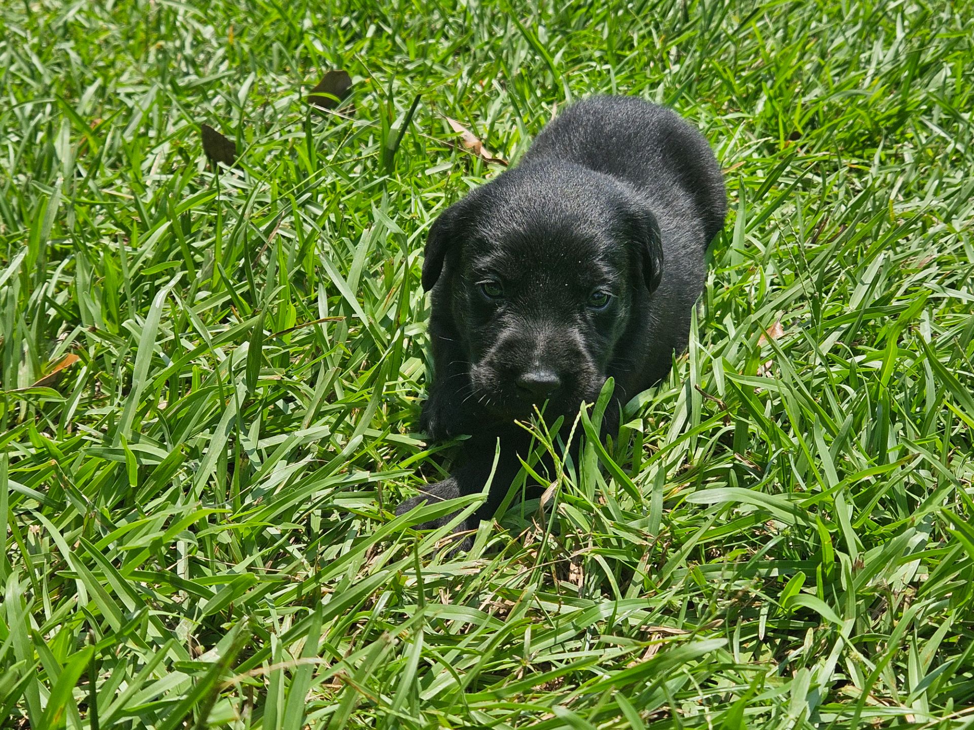 Otis 26 photo 2