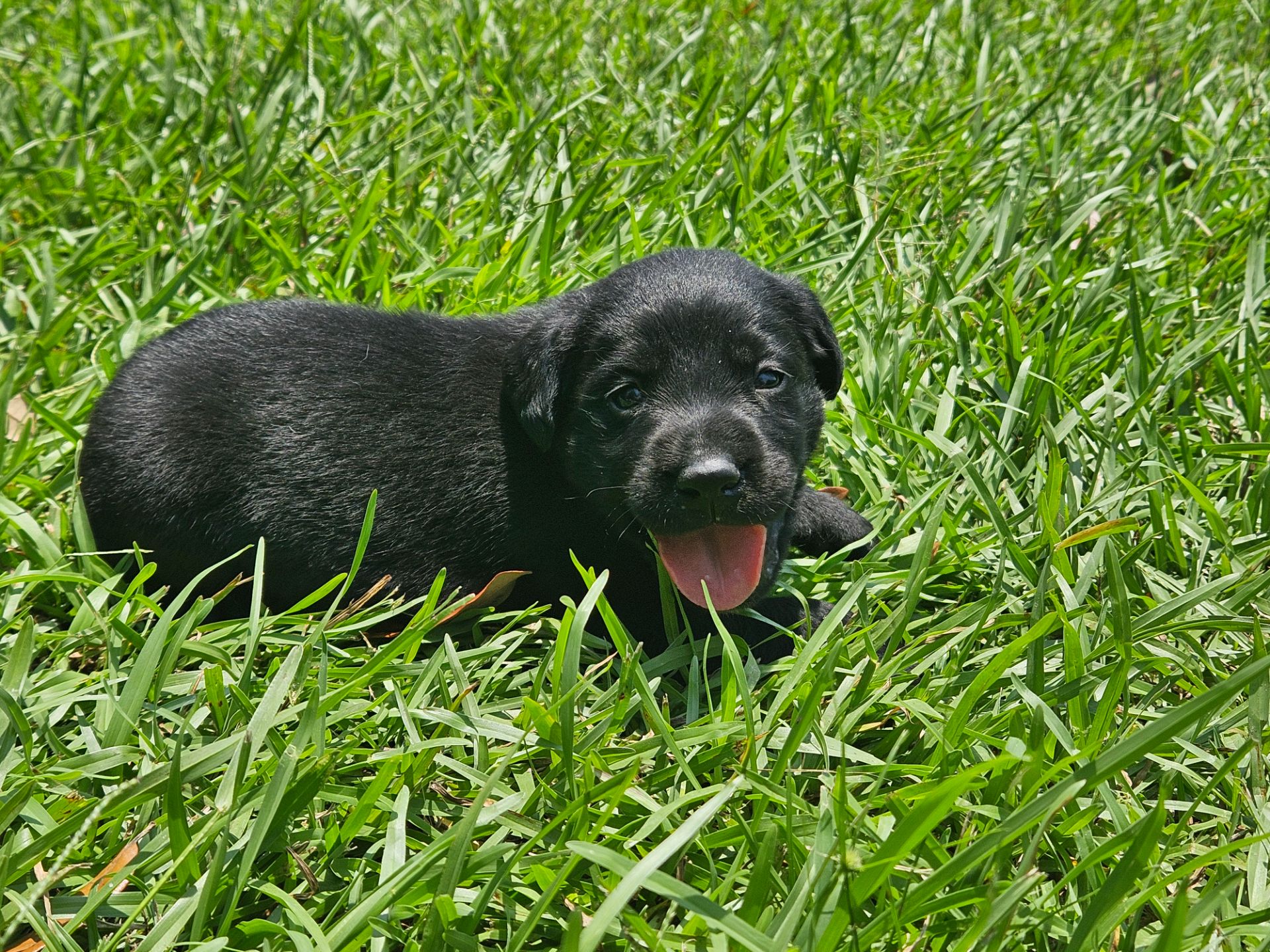 Otis 26 photo 6