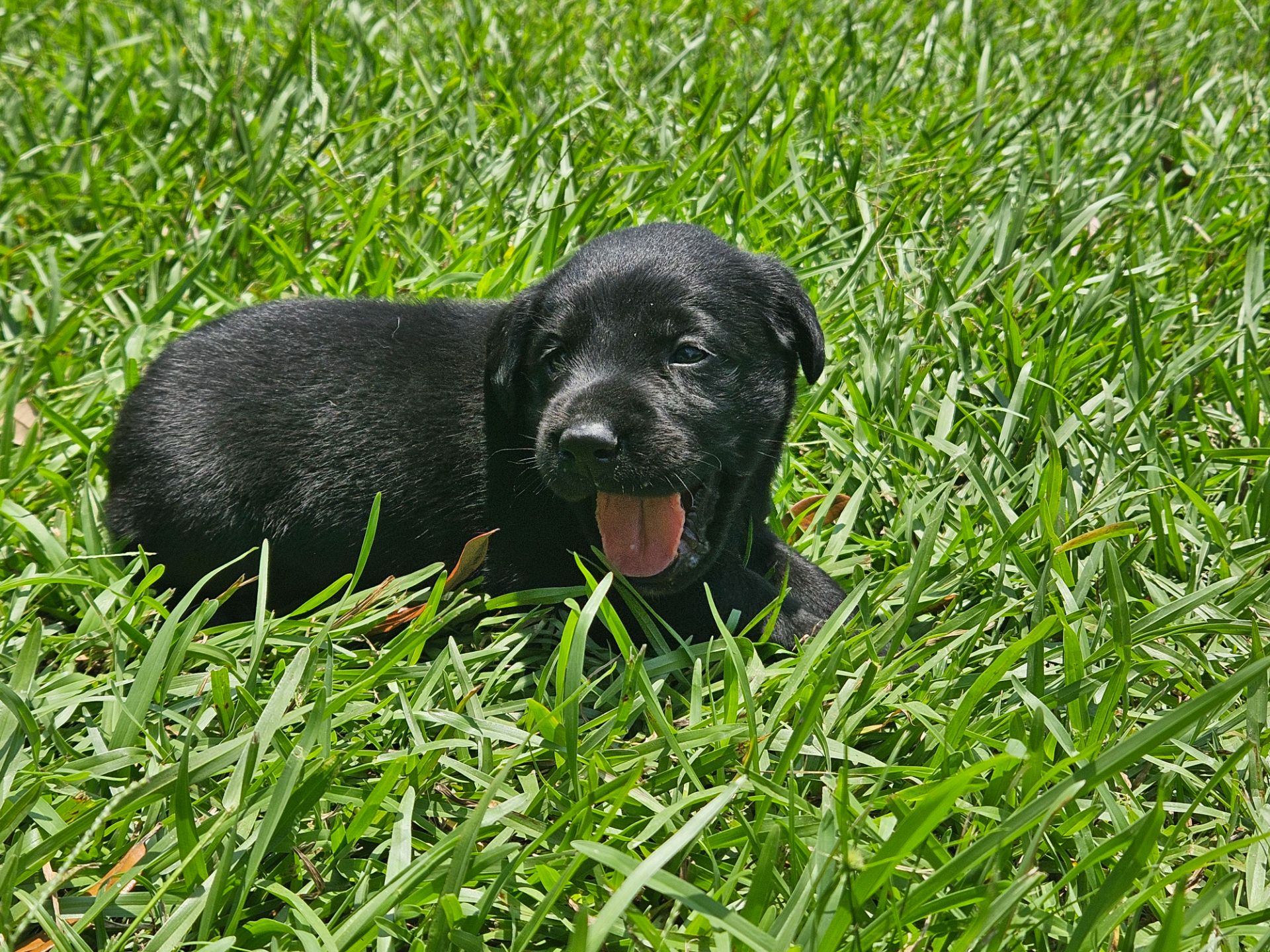 Otis 26 photo 7