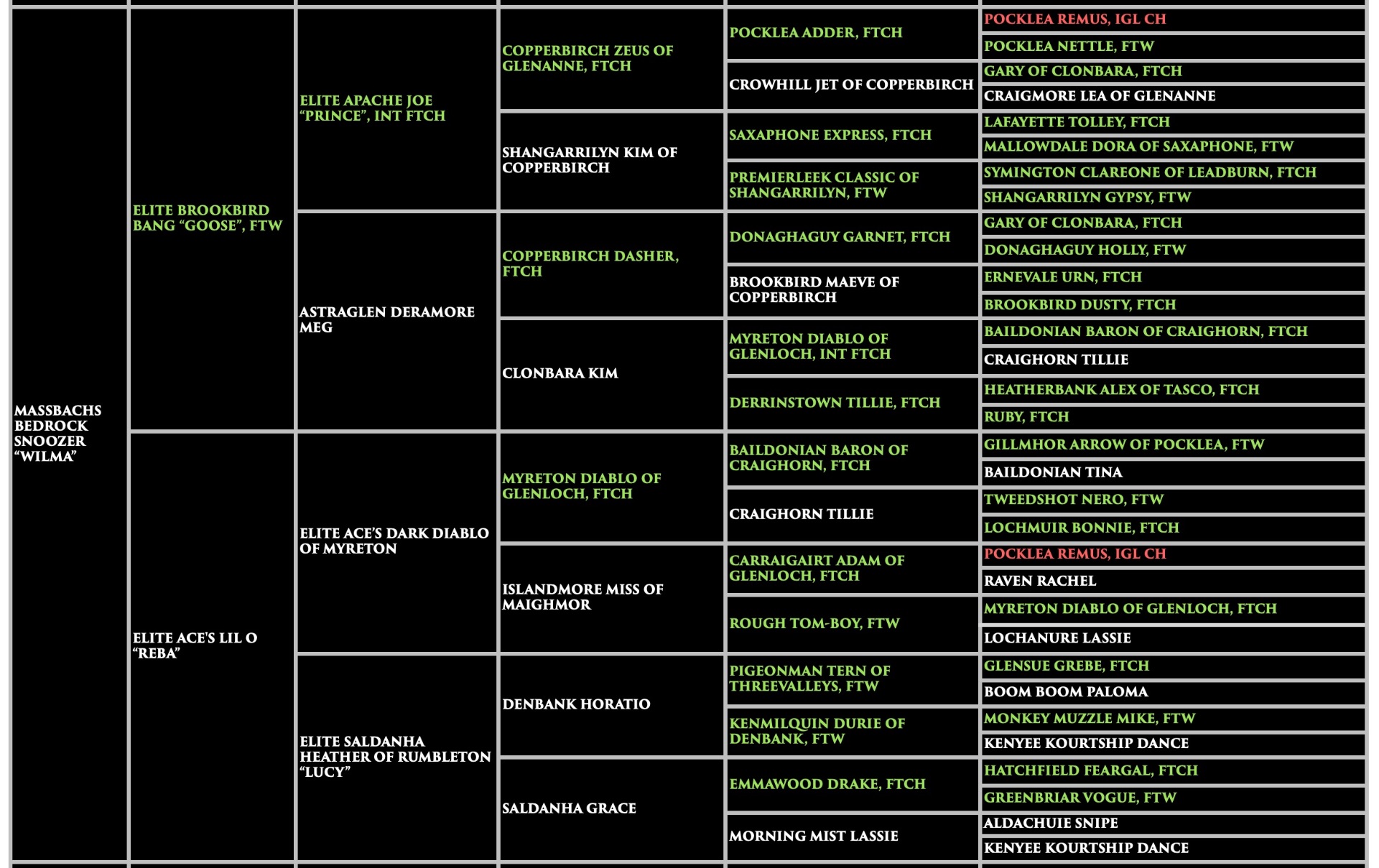 Wilma - Massbachs Bedrock Snoozer Pedigree