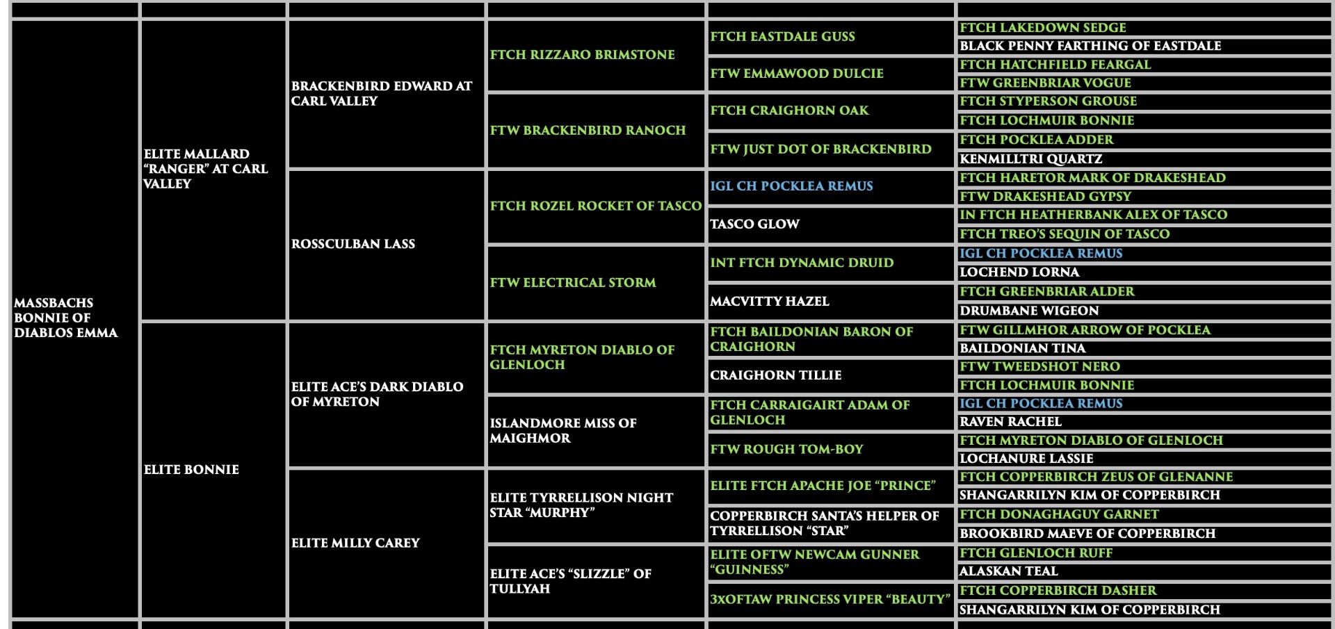 Emma - Massbachs Bonnie Of Diablos Emma Pedigree