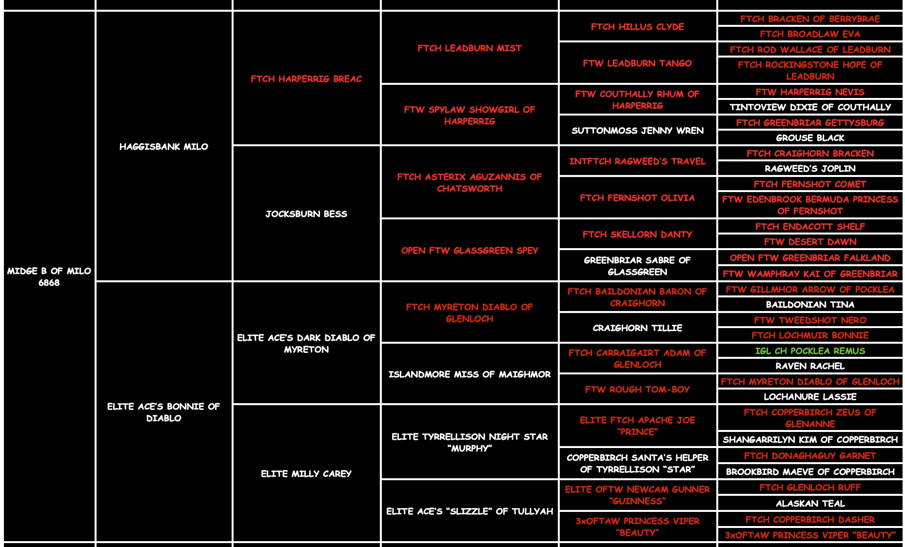 Midge B "midge OF Haggisbank" pedigree