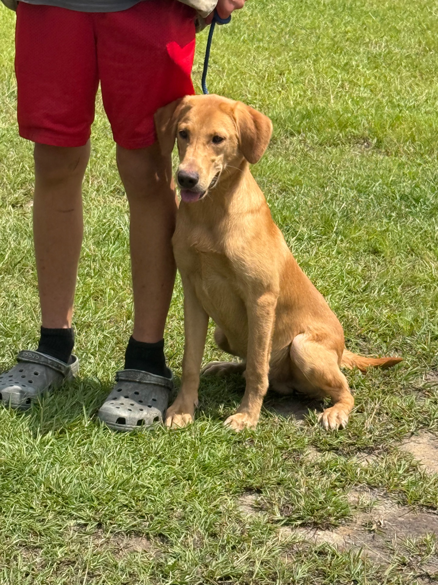 Rufus 25 photo 6