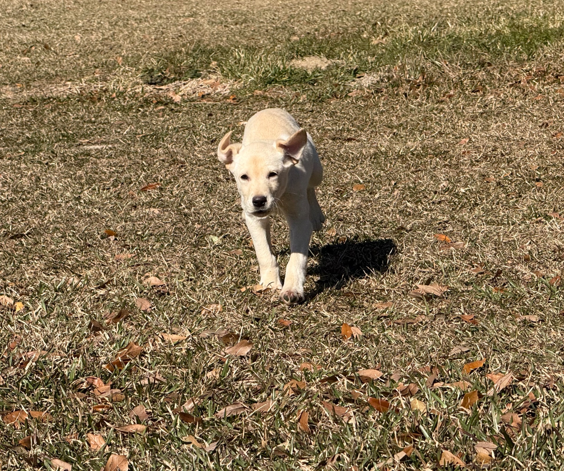 Lola 25 photo 2