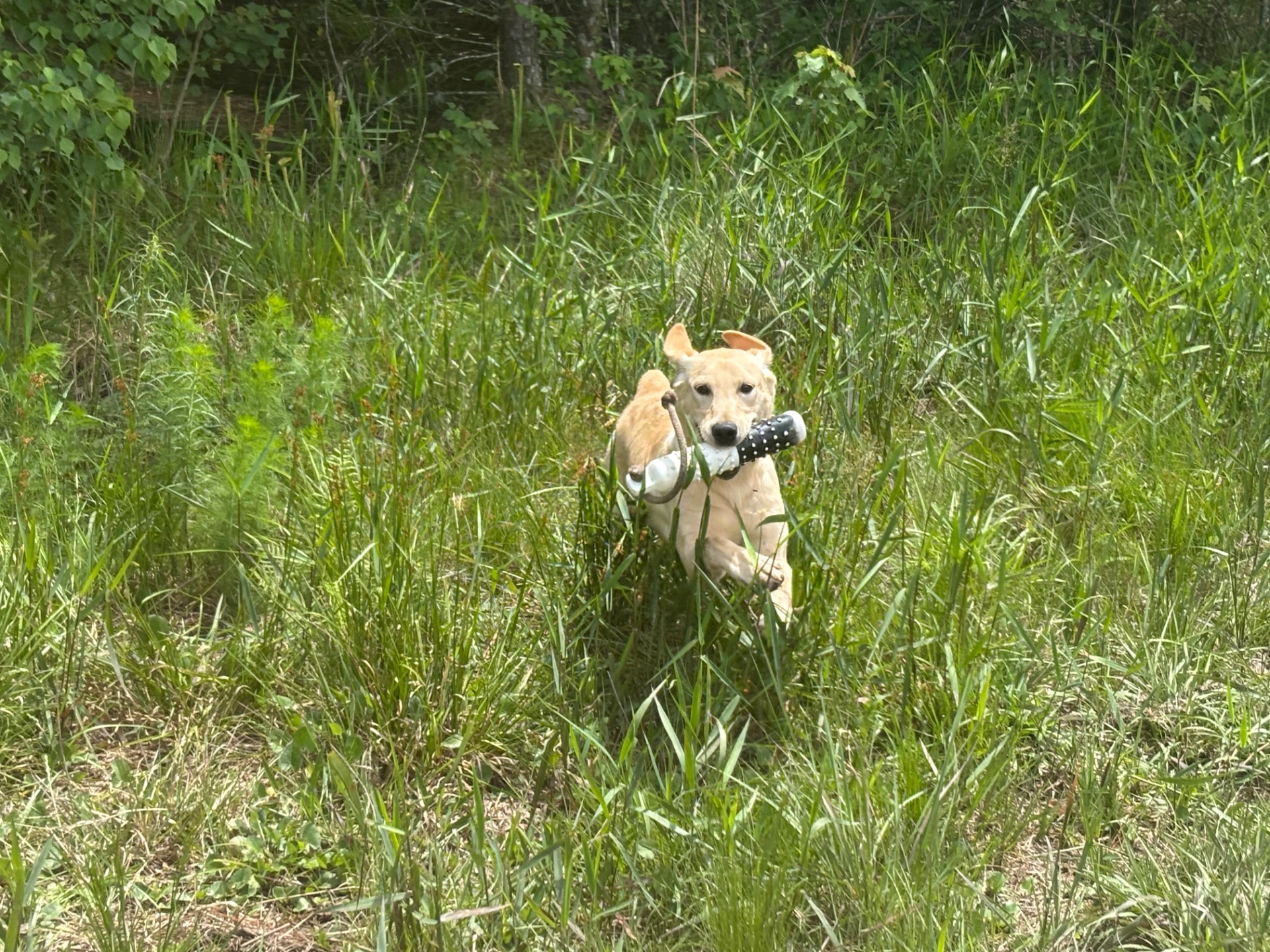 Lola 25 photo 9