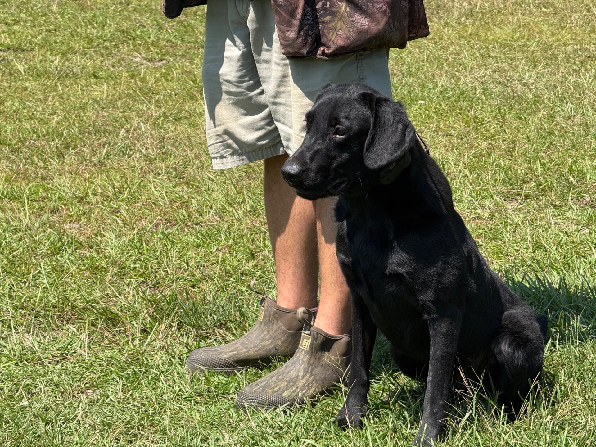 Duke 25