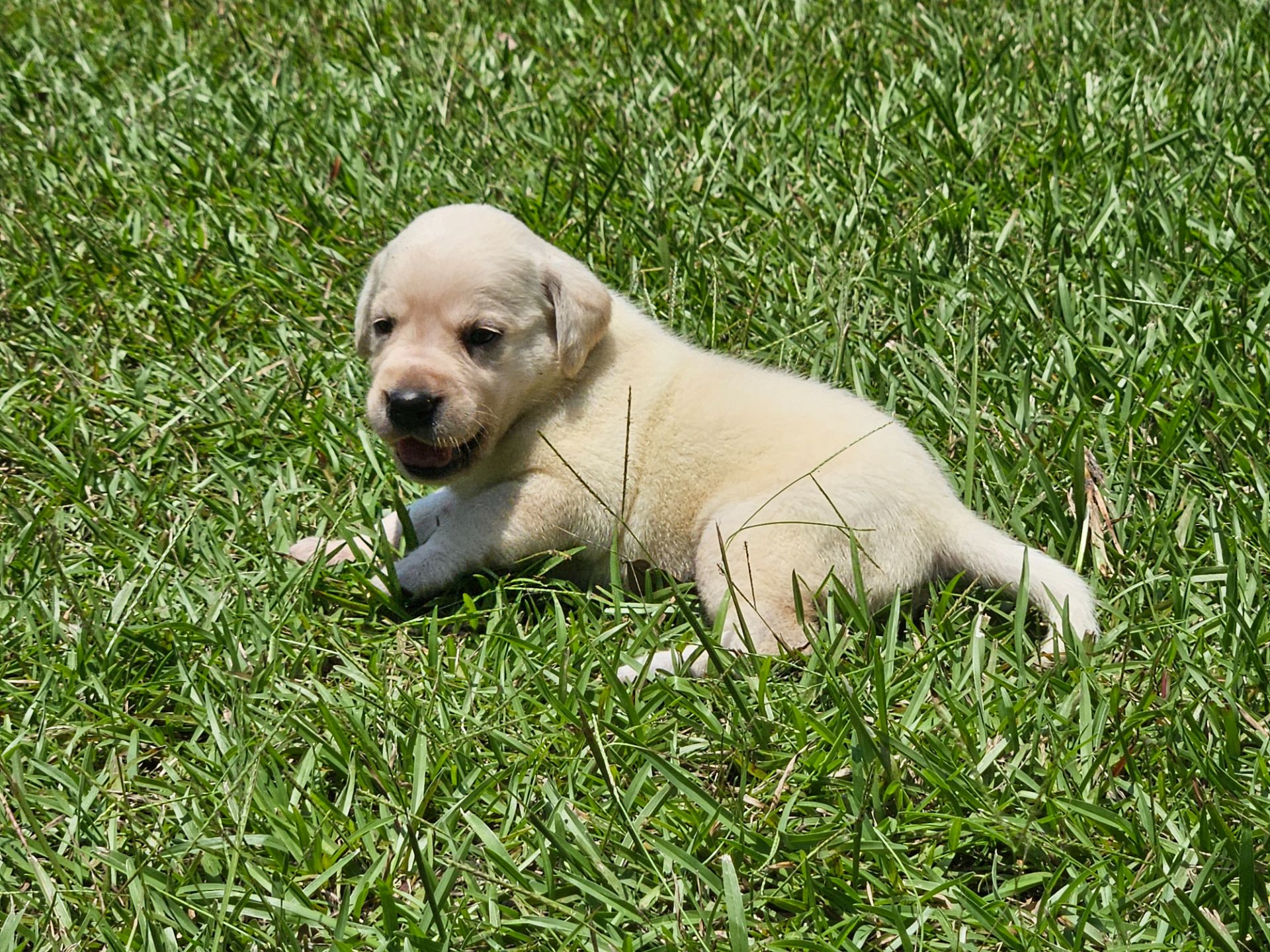 Skyler 26 photo 3
