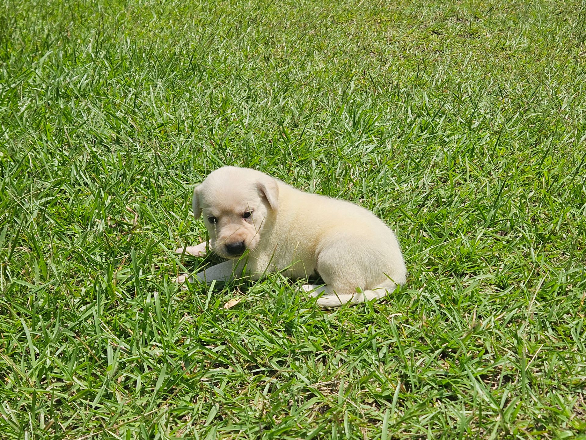 Skyler 26 photo 4