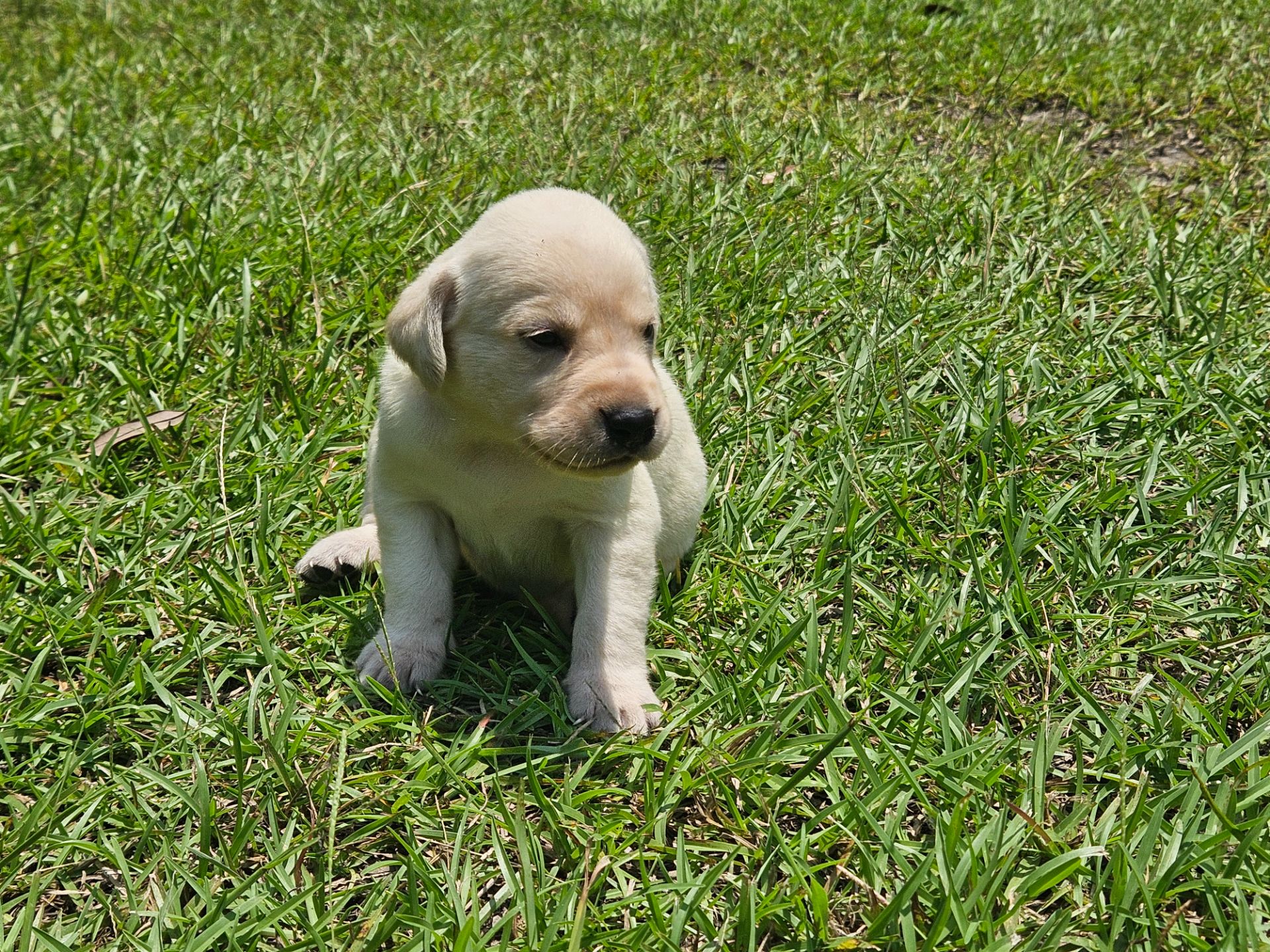 Skyler 26 photo 5