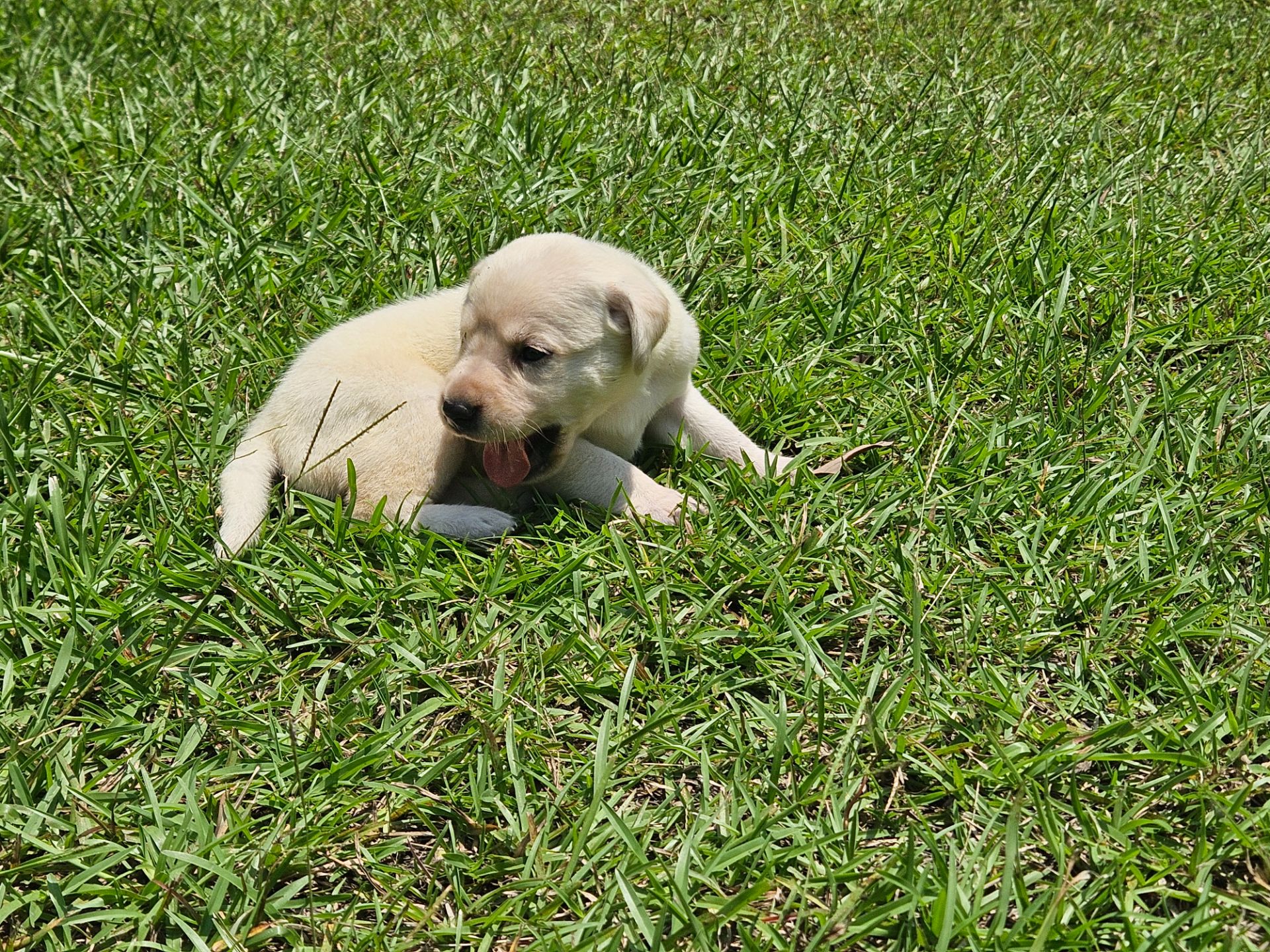 Skyler 26 photo 6