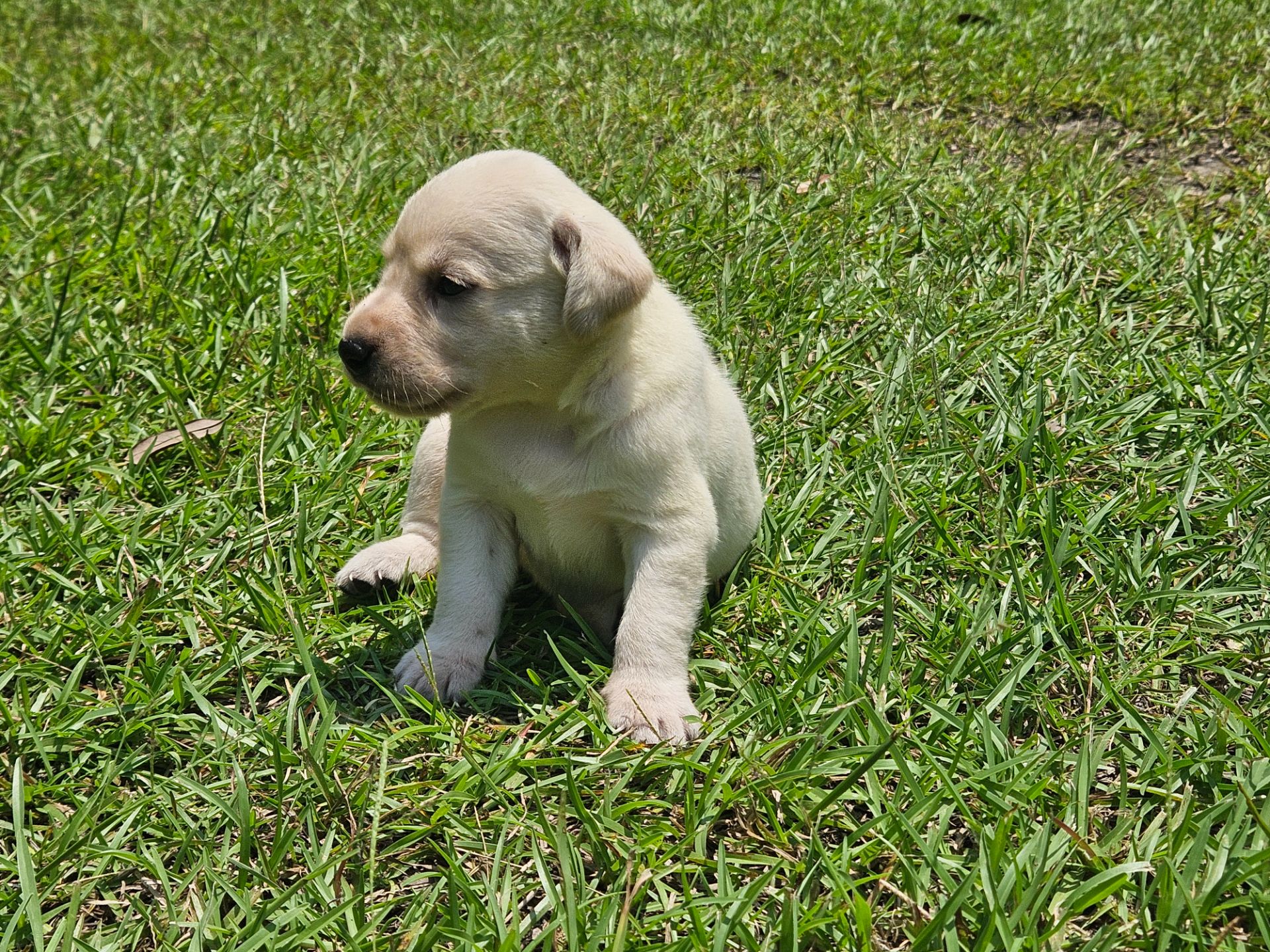 Skyler 26 photo 7