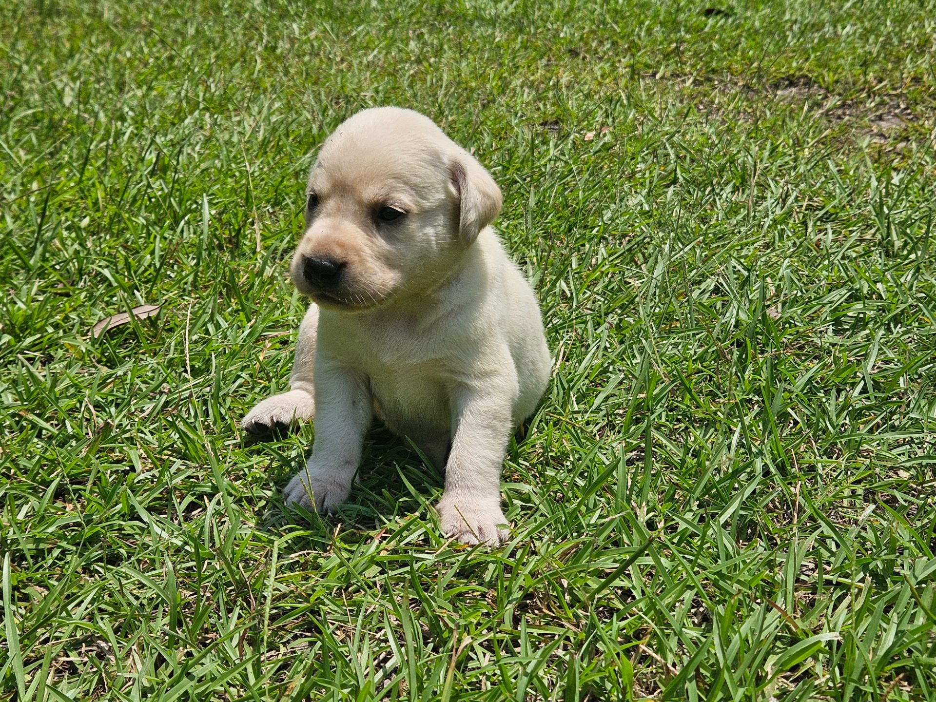 Skyler 26 photo 8