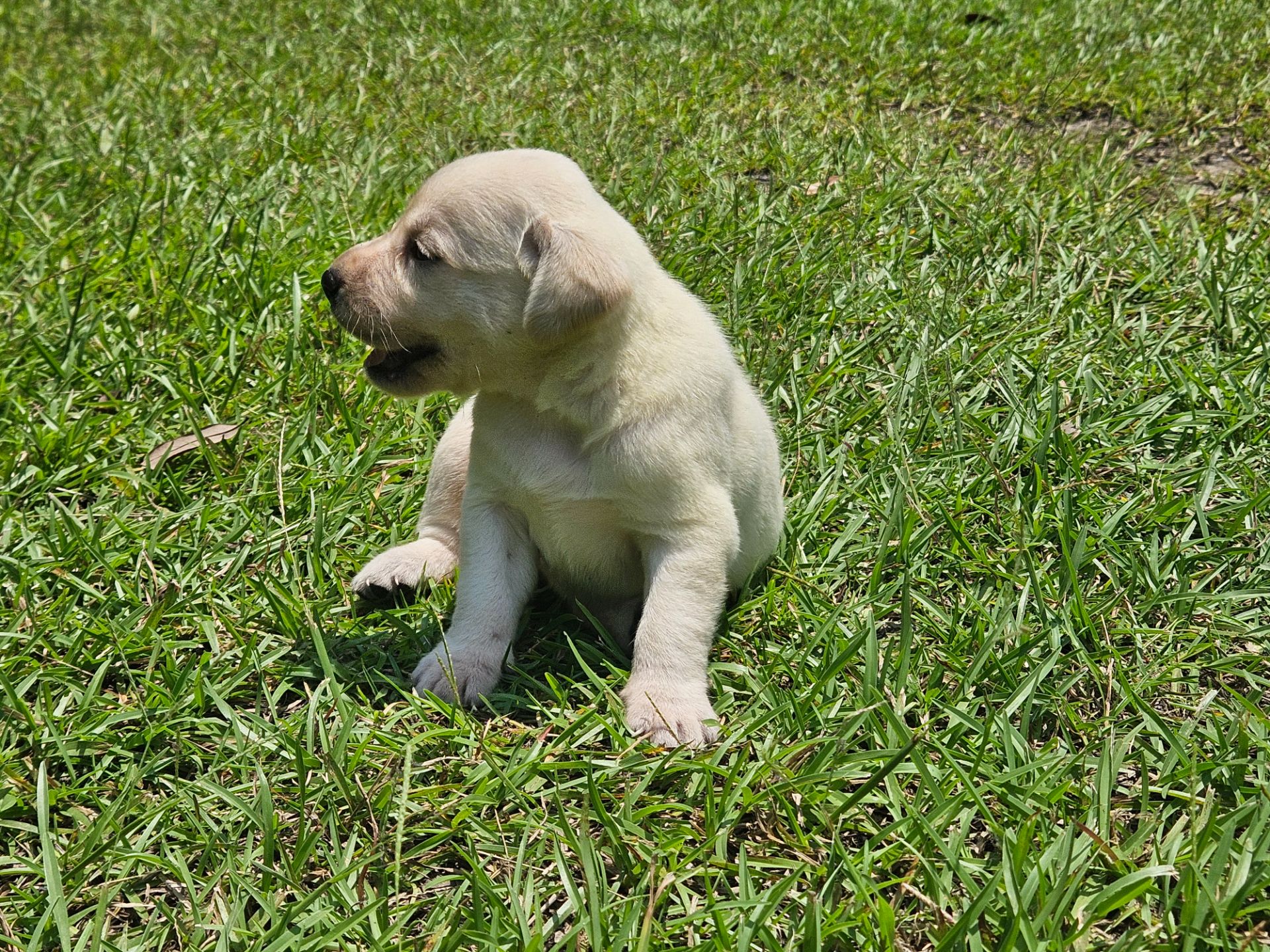 Skyler 26 photo 9