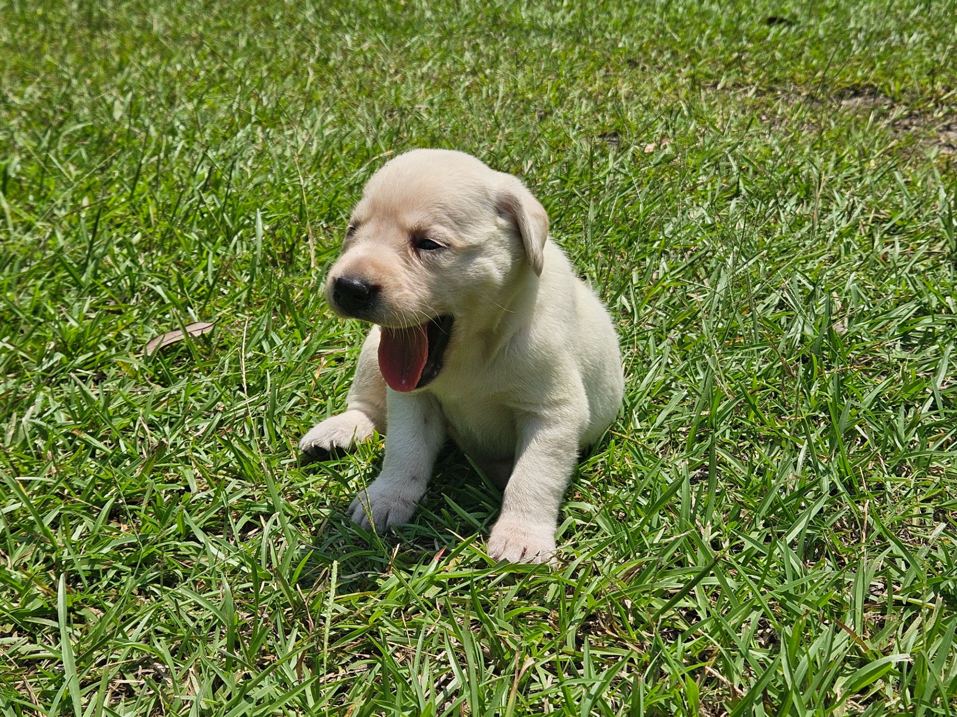 Skyler 26 photo 10