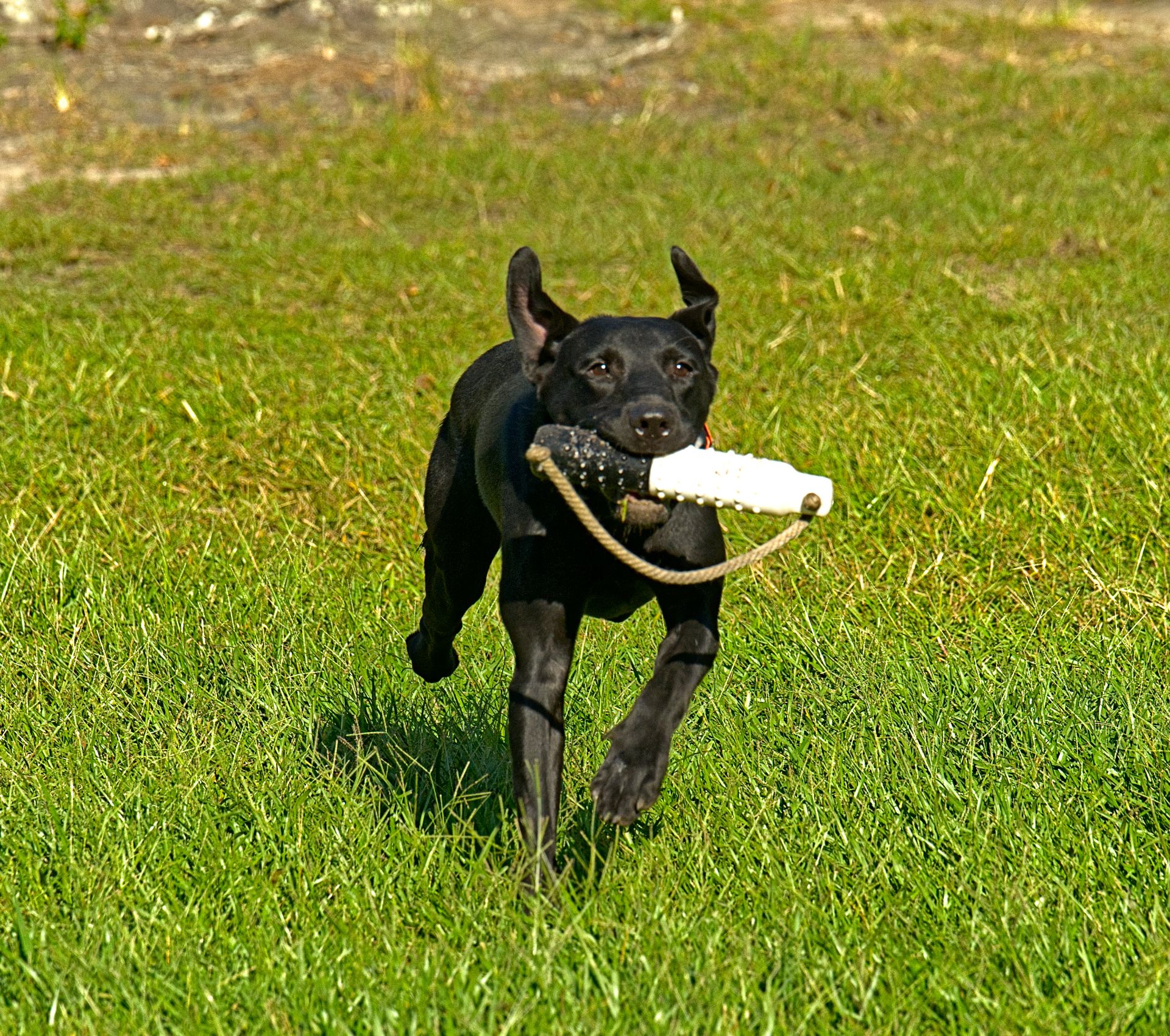 Hobbs 25 photo 2