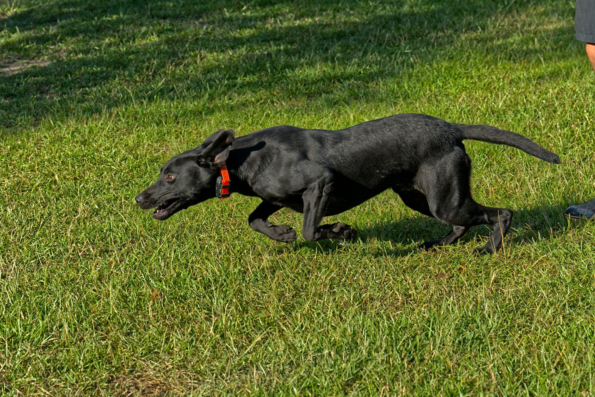 Hobbs 25 photo 3