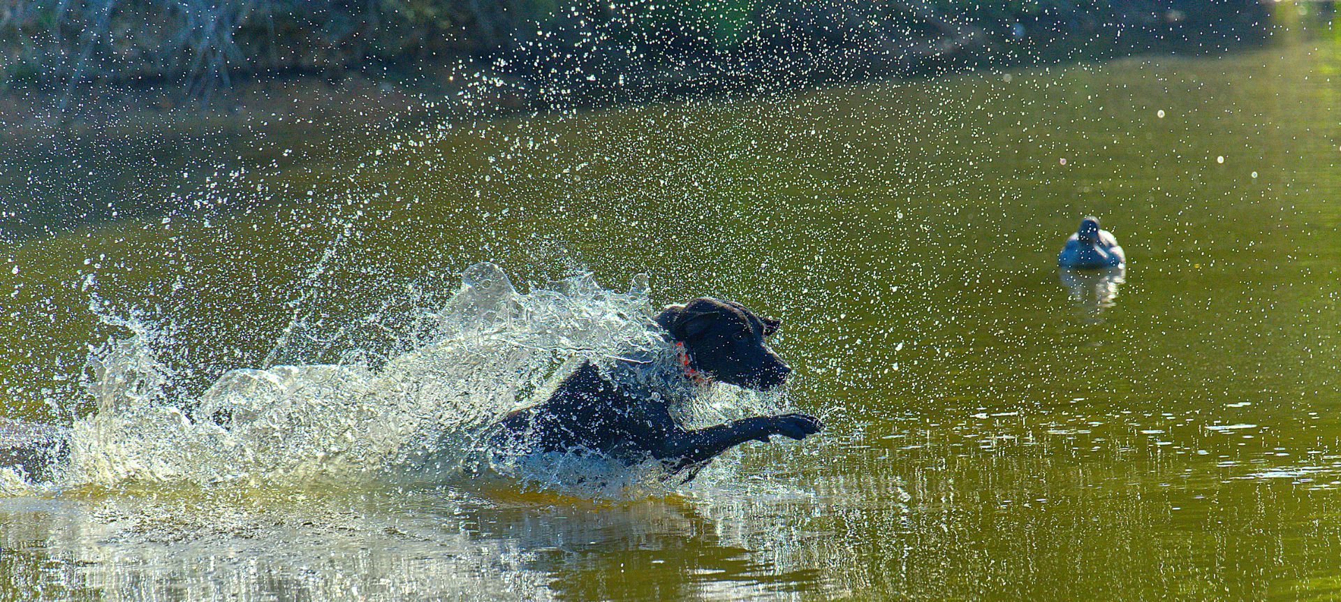 Hobbs 25 photo 4
