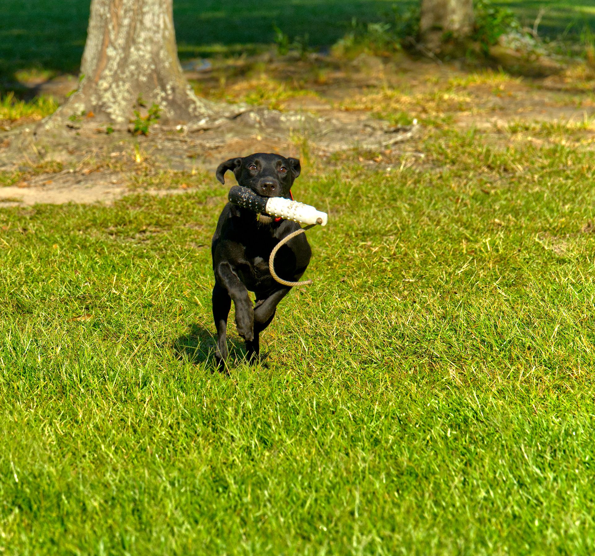Hobbs 25 photo 5