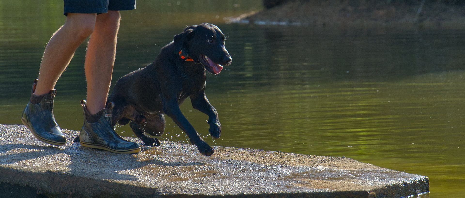 Hobbs 25 photo 6