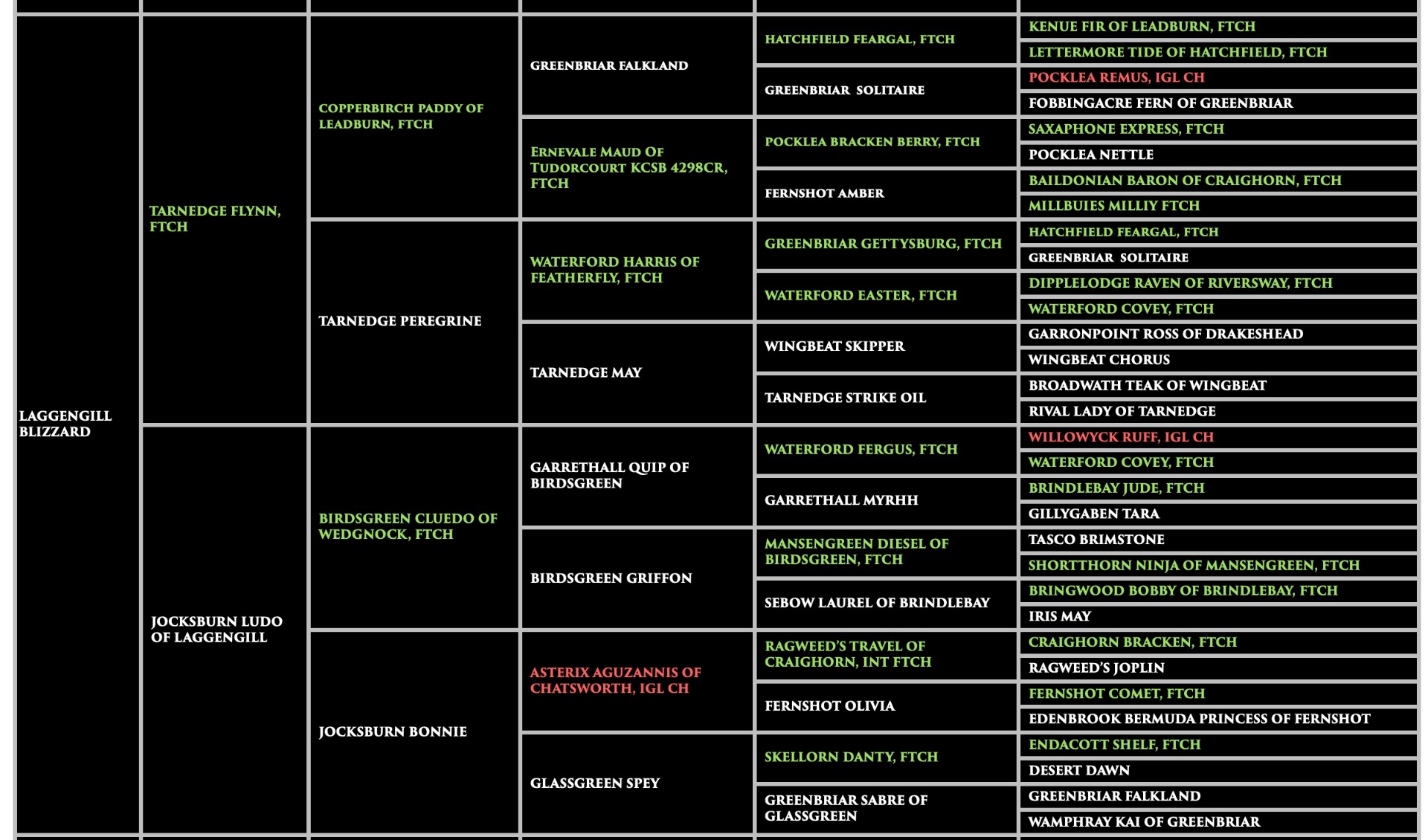 Blizzard - Laggengill Blizzard Pedigree