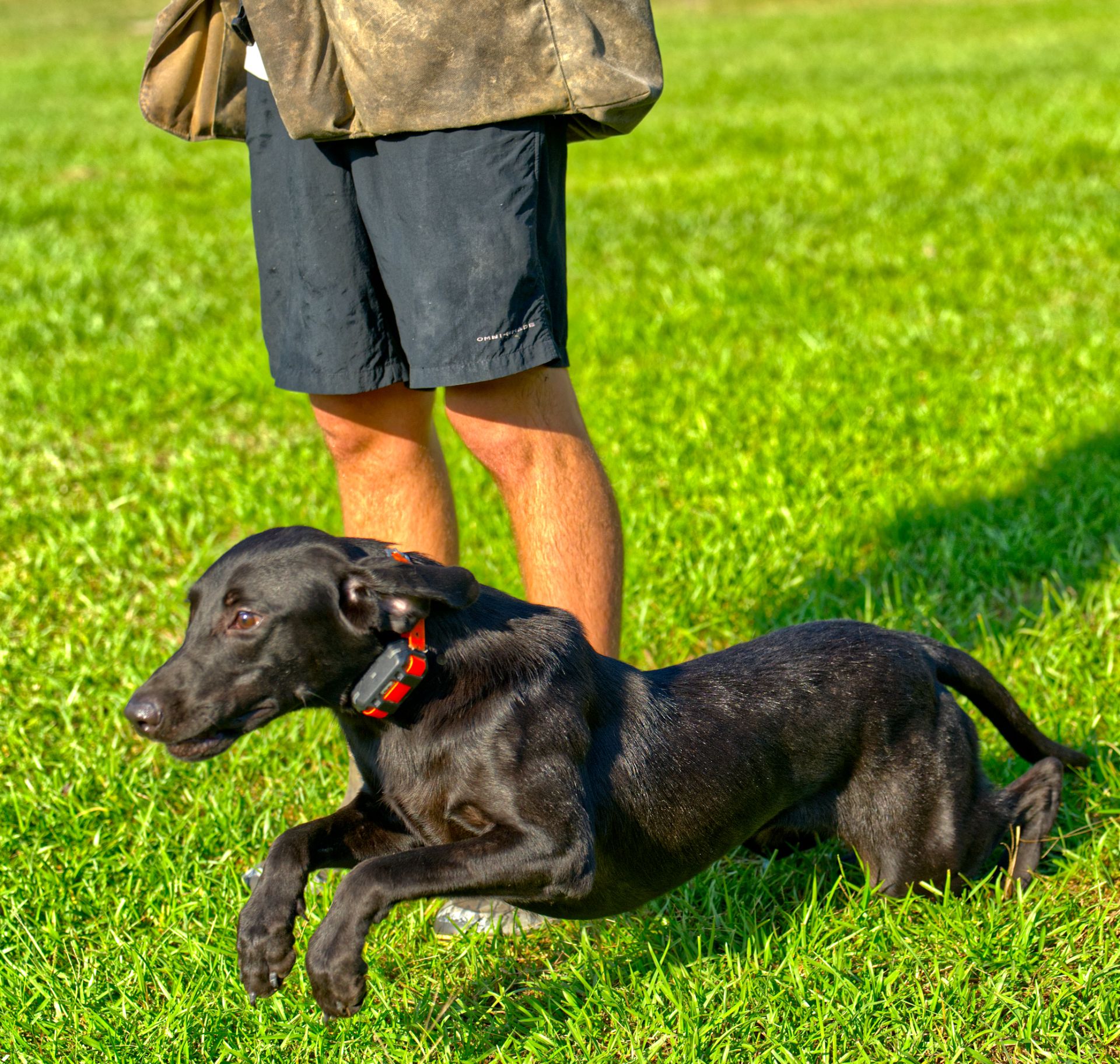 Huck 25 photo 4
