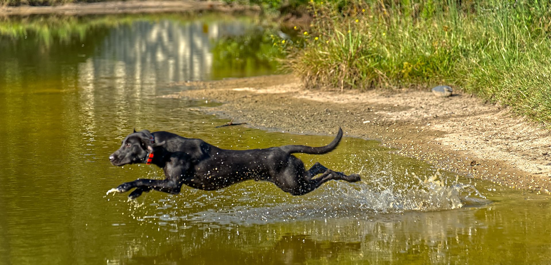 Huck 25 photo 6