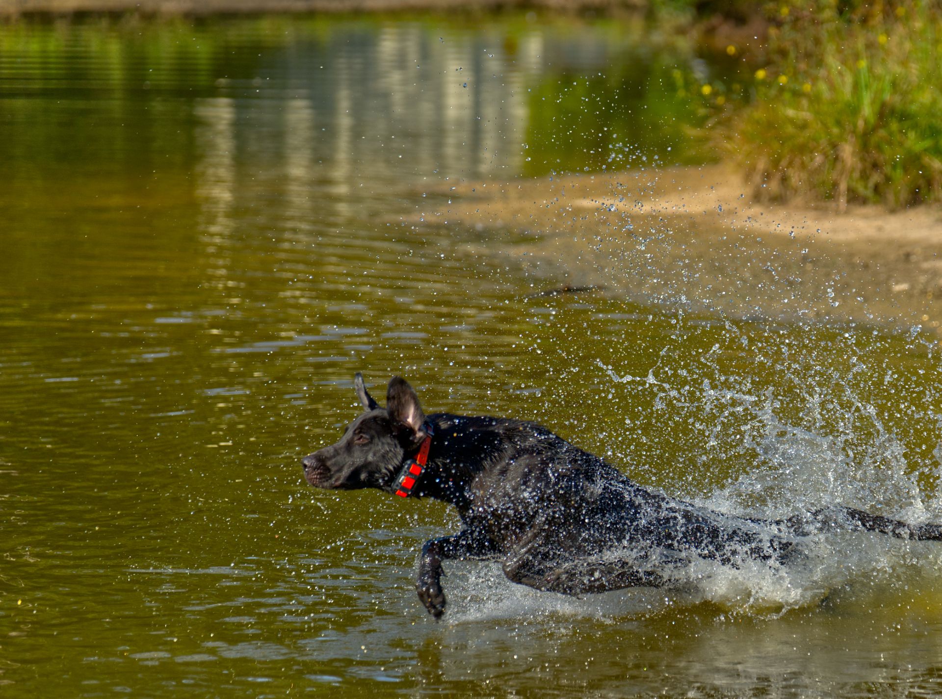 Huck 25