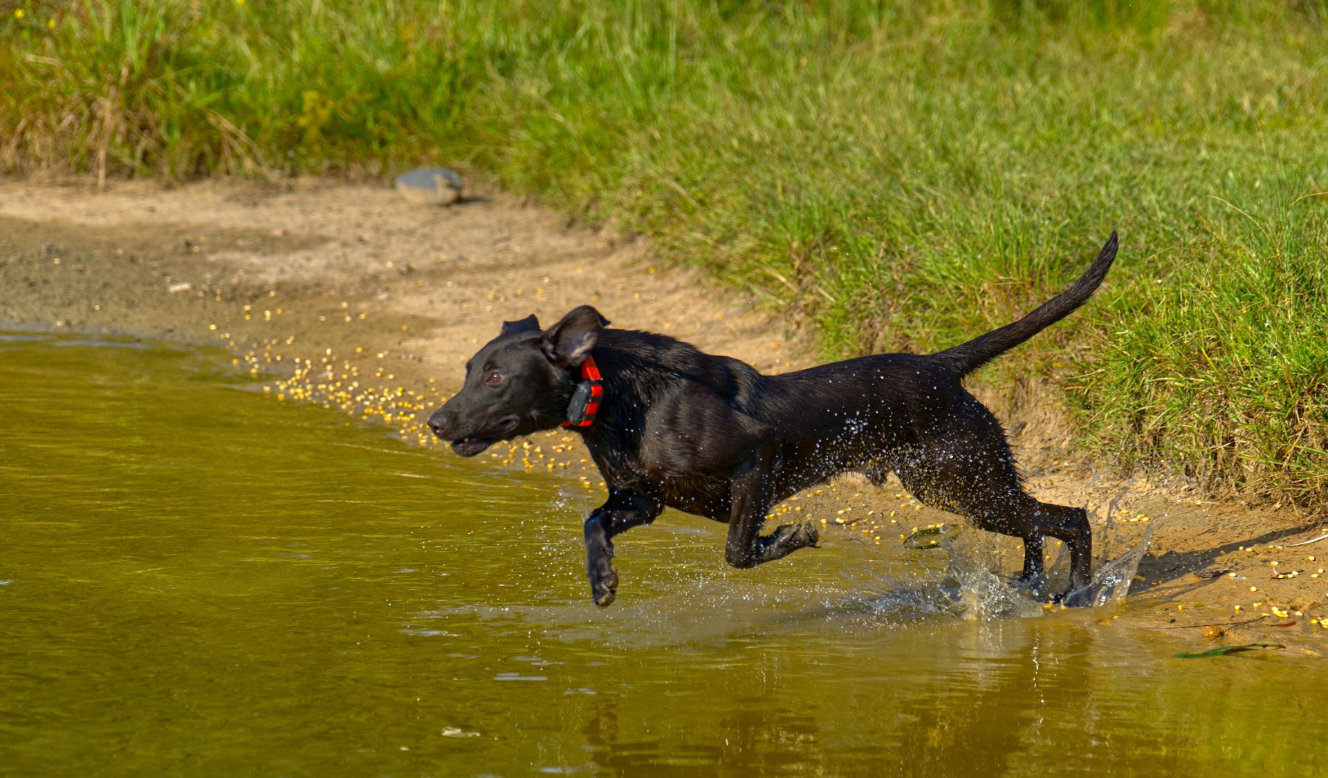 Huck 25 photo 7
