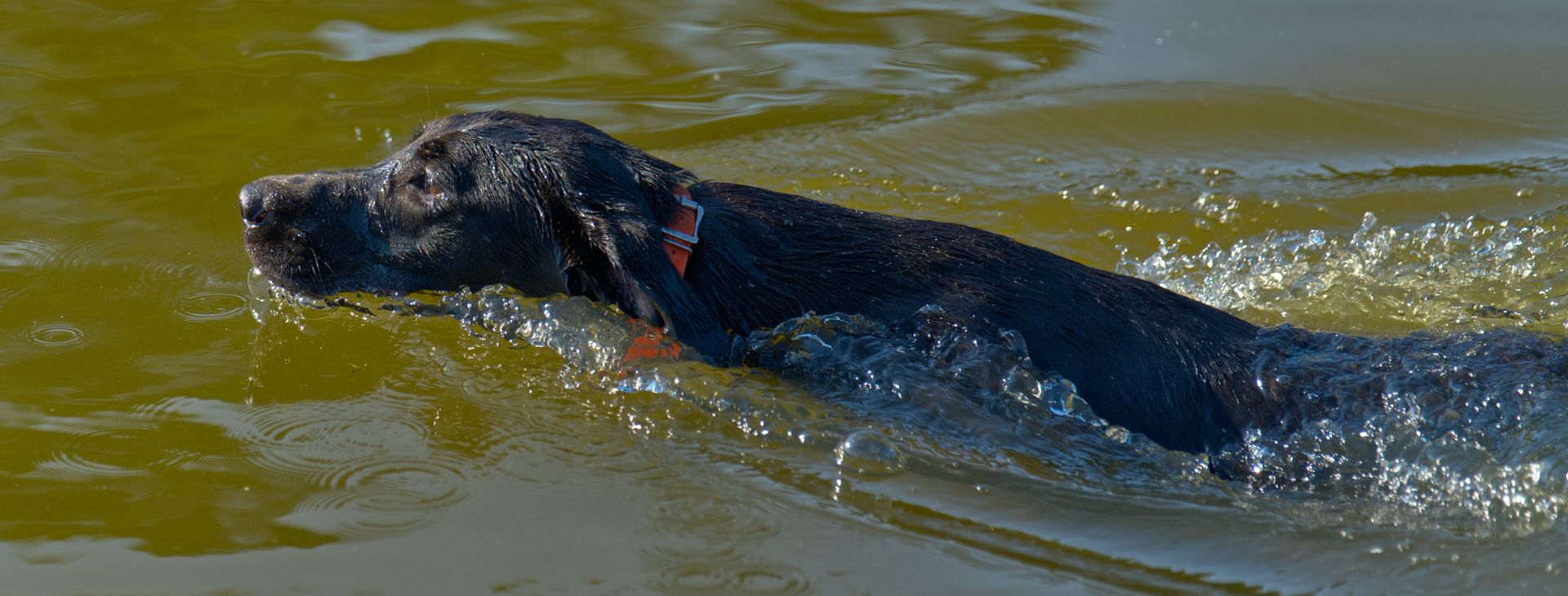 Huck 25 photo 10
