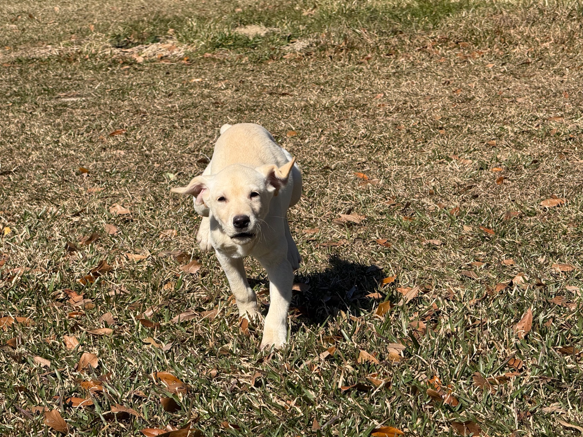 Fitz Hughes 25 photo 4