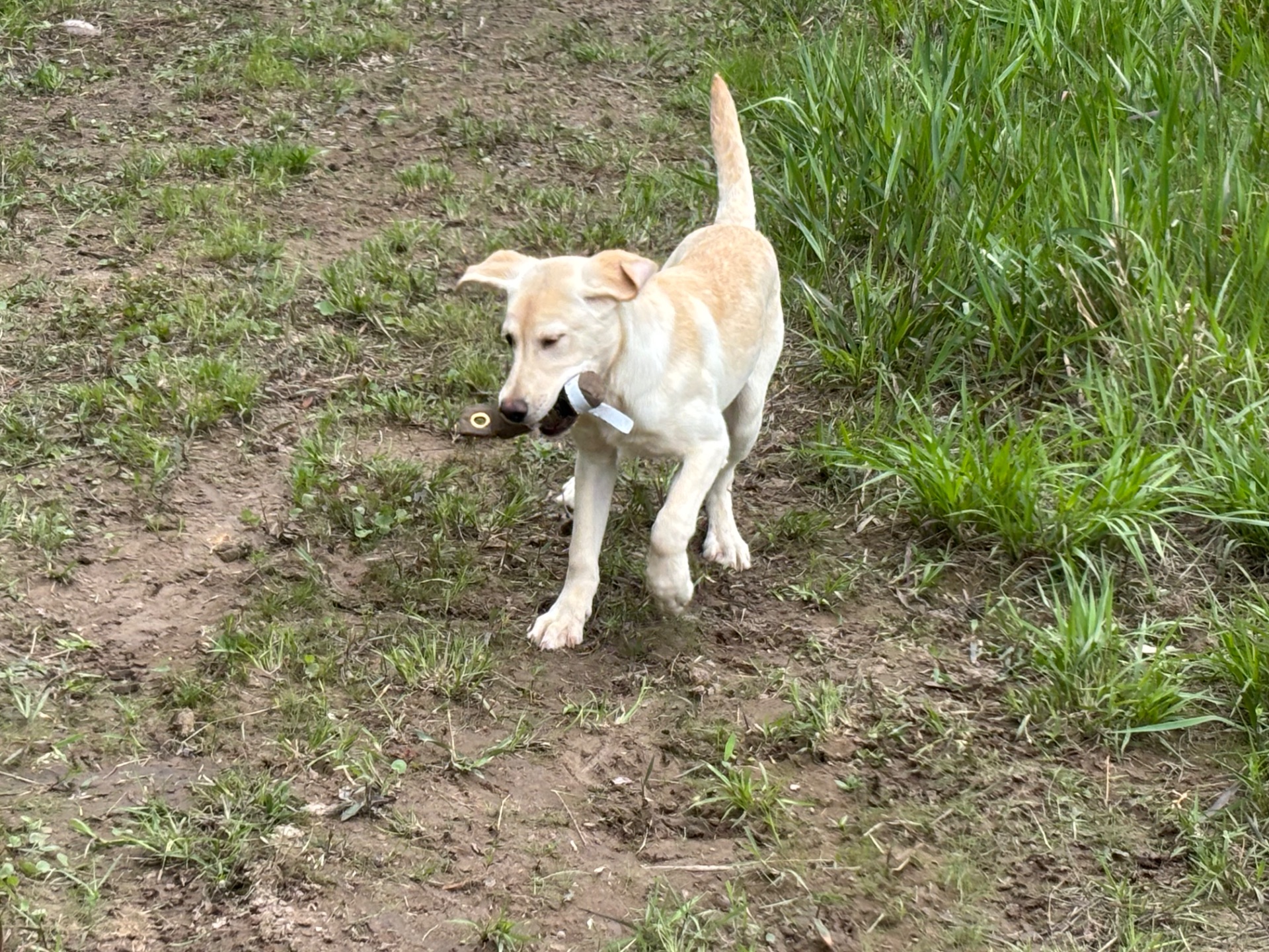 Fitz Hughes 25 photo 8