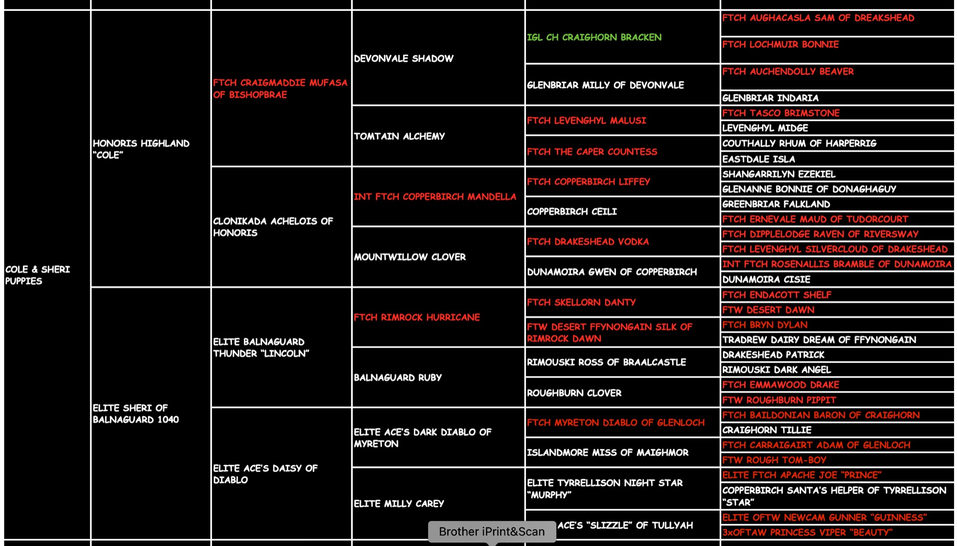 Fitz Hughes 25 pedigree