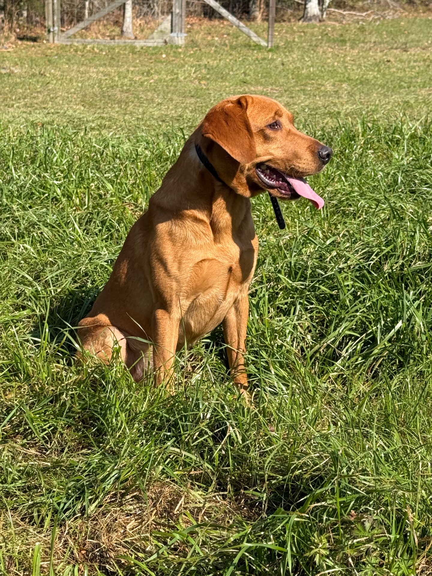 Lucky Westberry photo 5