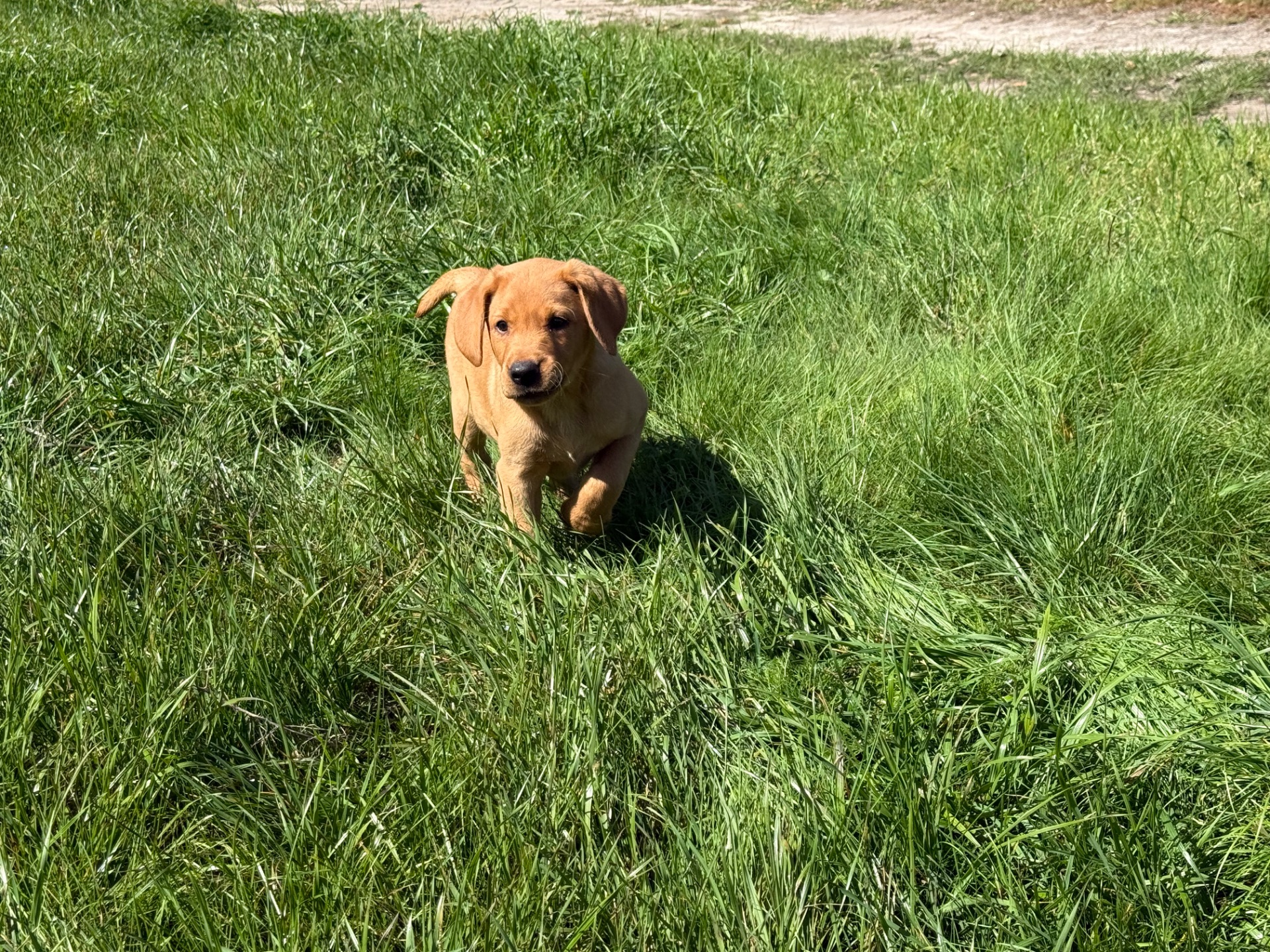 Tex 26 photo 3