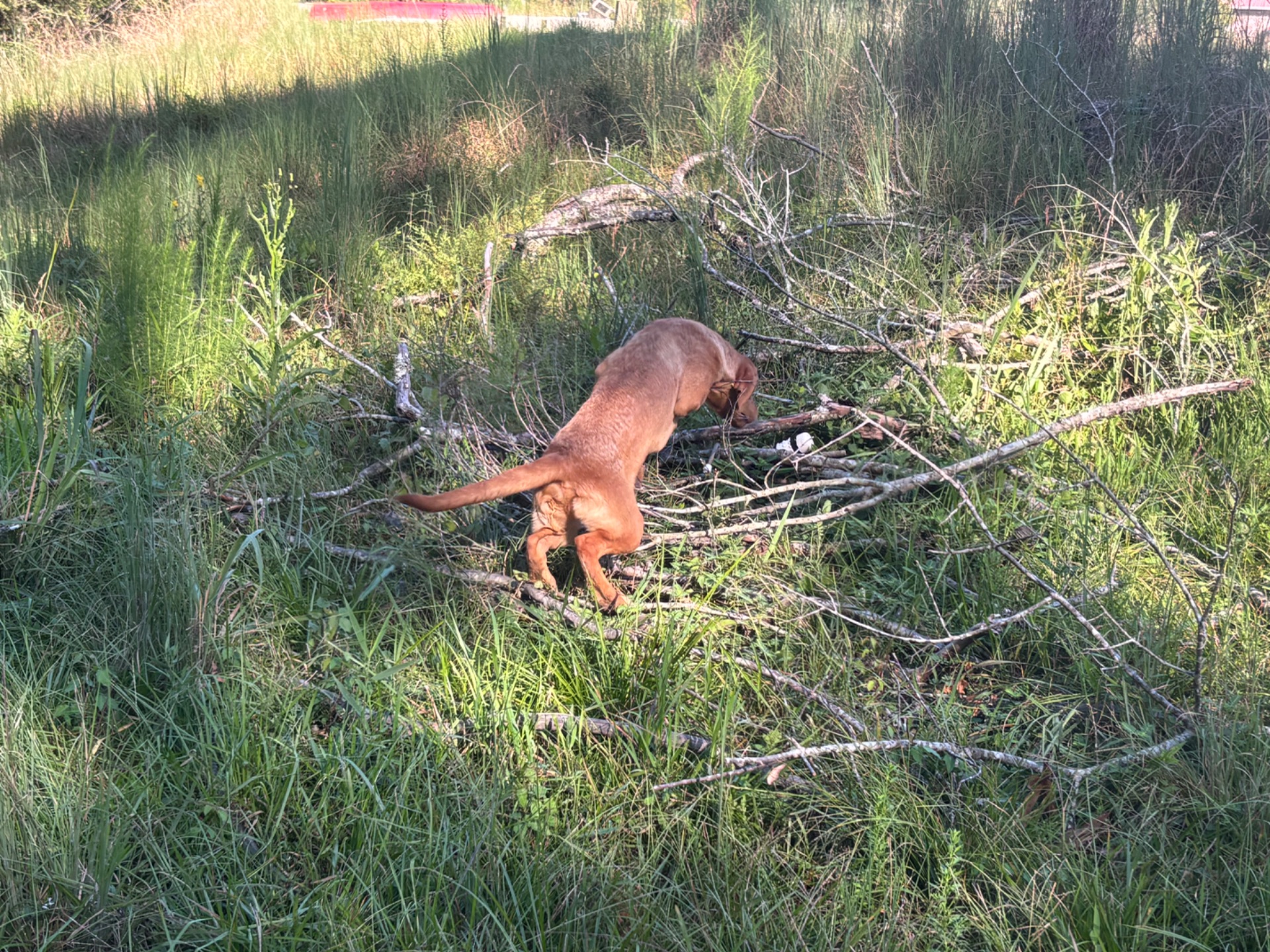 Tex 26 photo 9