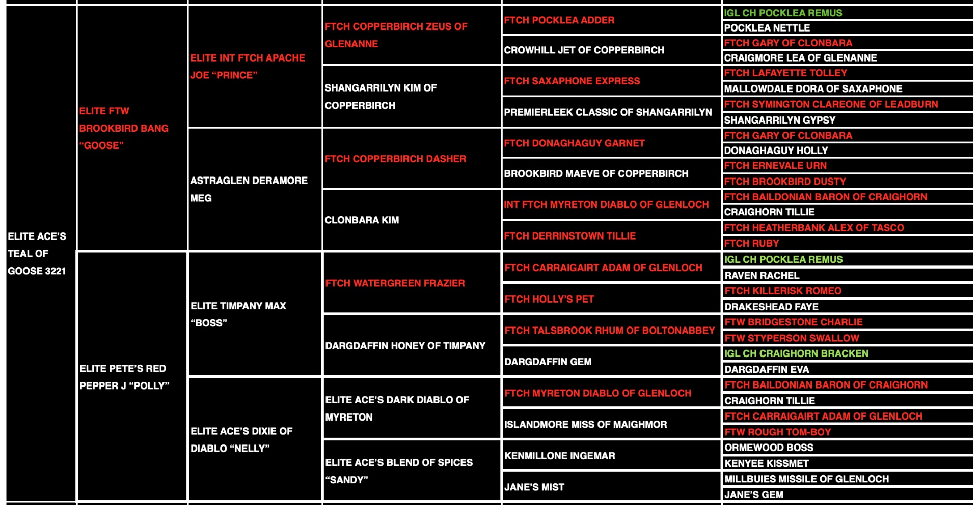Teal "ace's Teal Of Goose" pedigree
