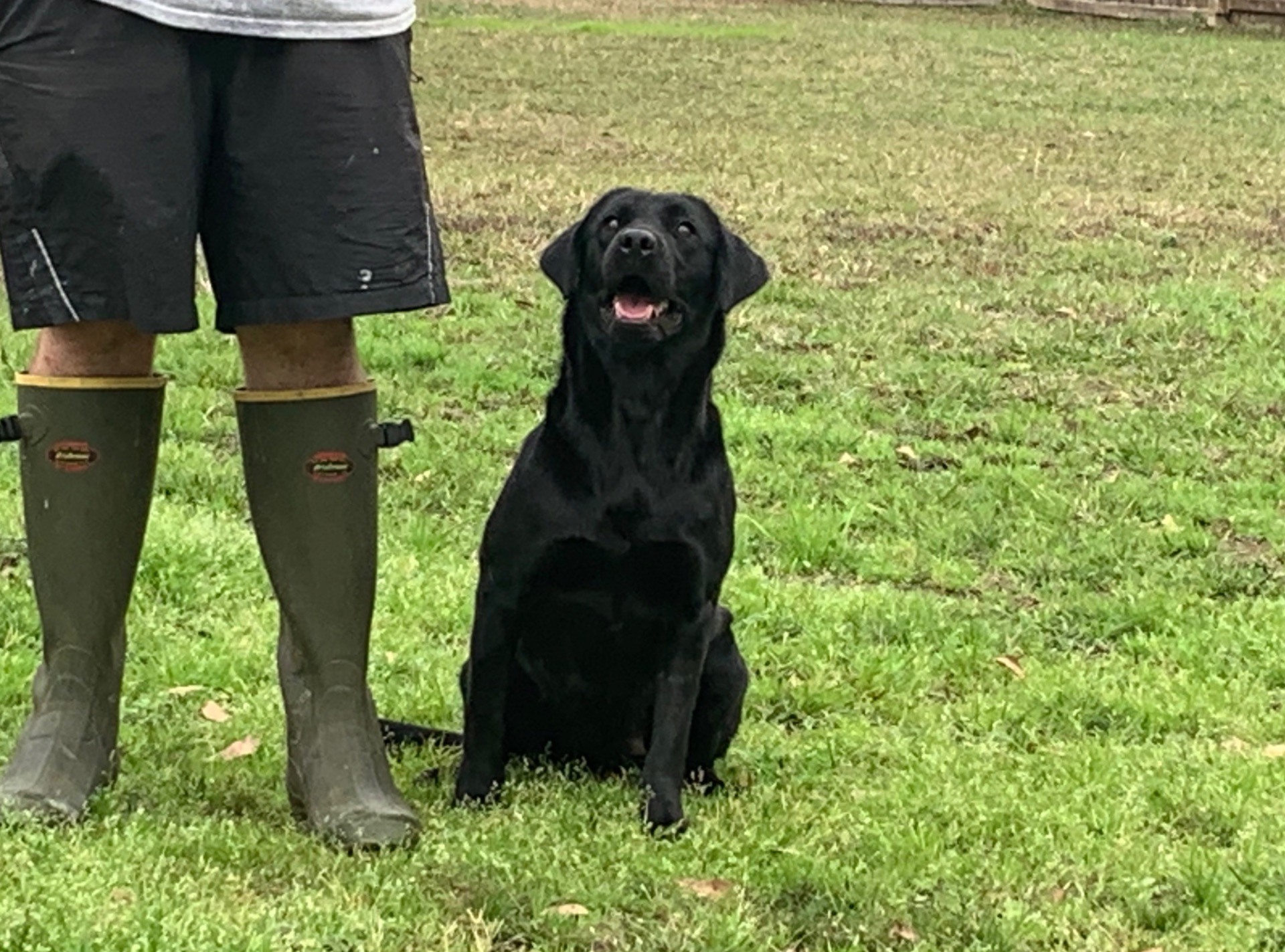 Cherokee "ELITE ACES 'CHEROKEE' OF DORO" photo 2