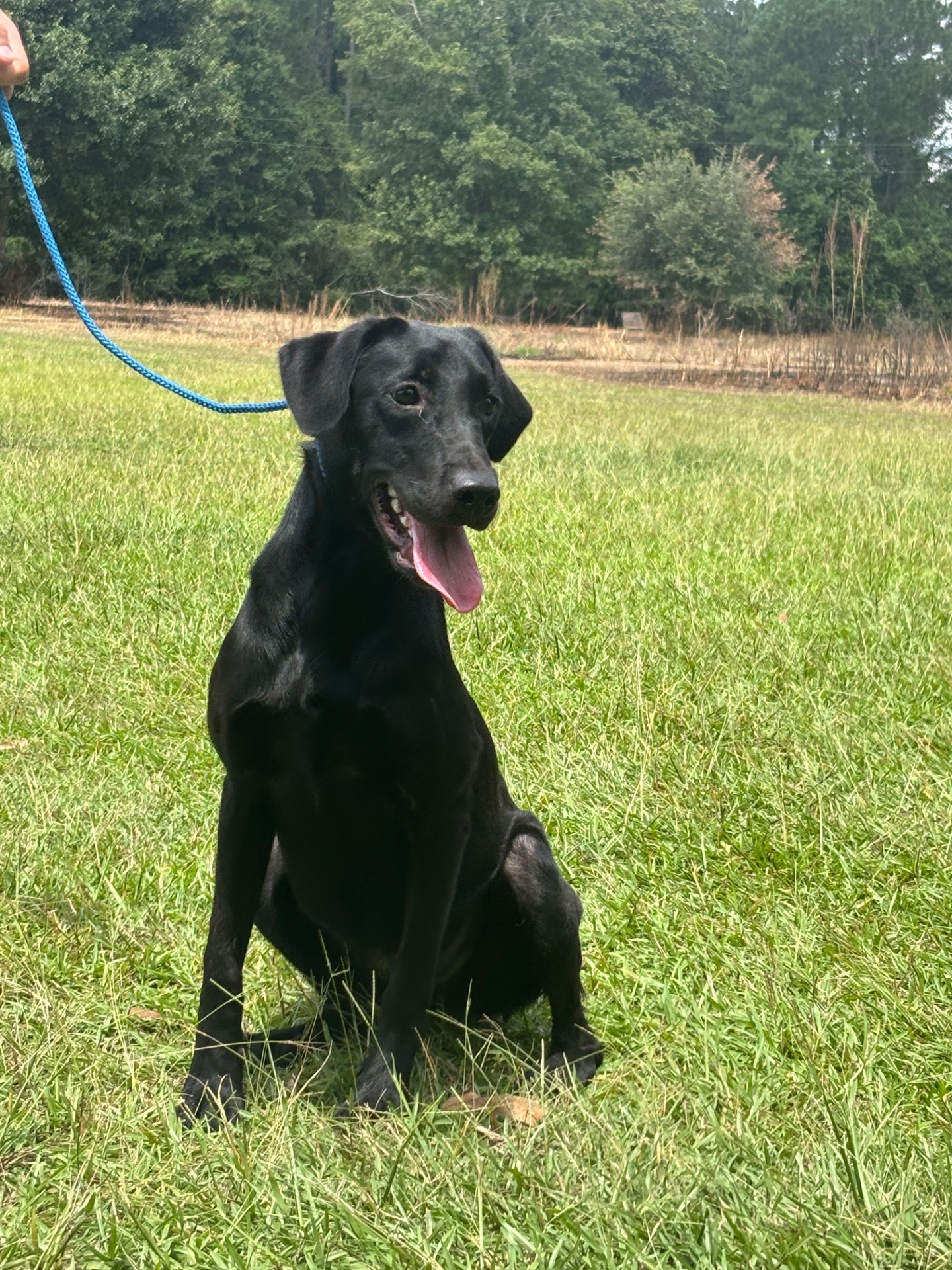 Dottie 26 photo 7