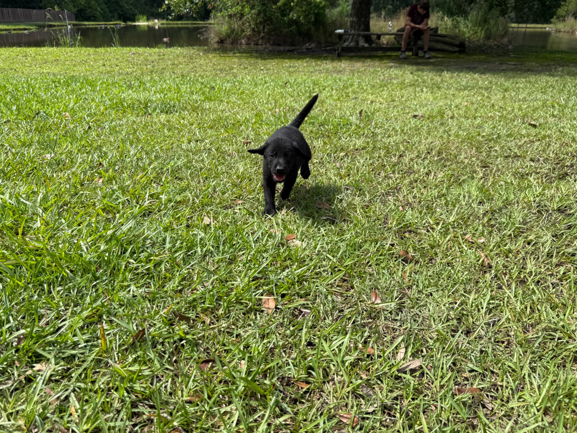 Piney 26 photo 6