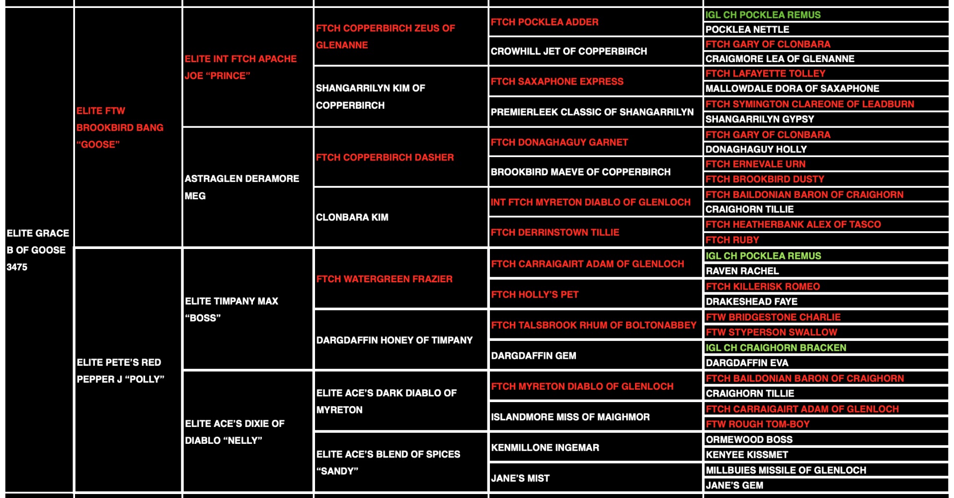 Grace B "ace's Grace Of Goose" pedigree