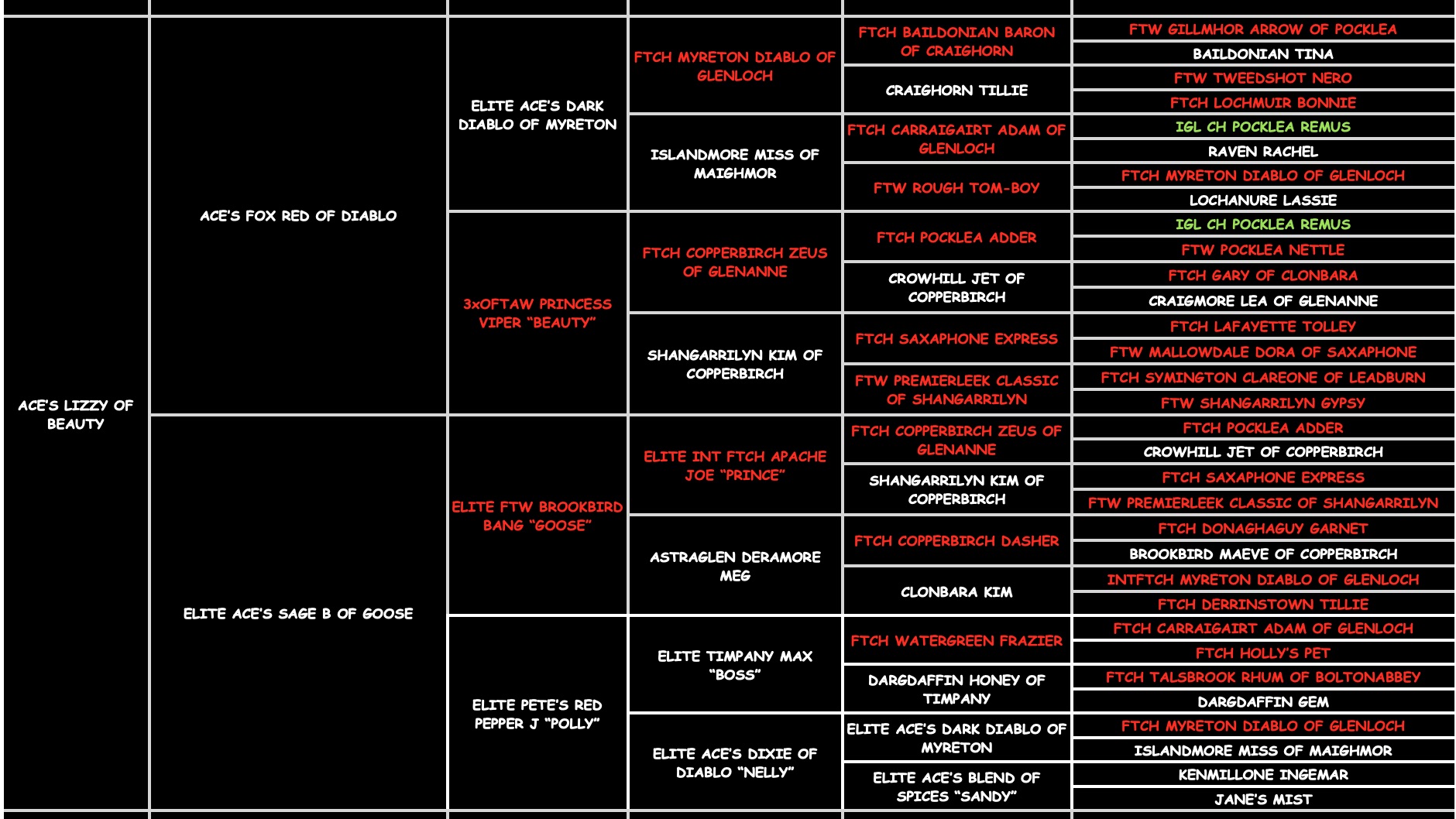 Lizzy B "ace's Lizzy Of Beauty" pedigree