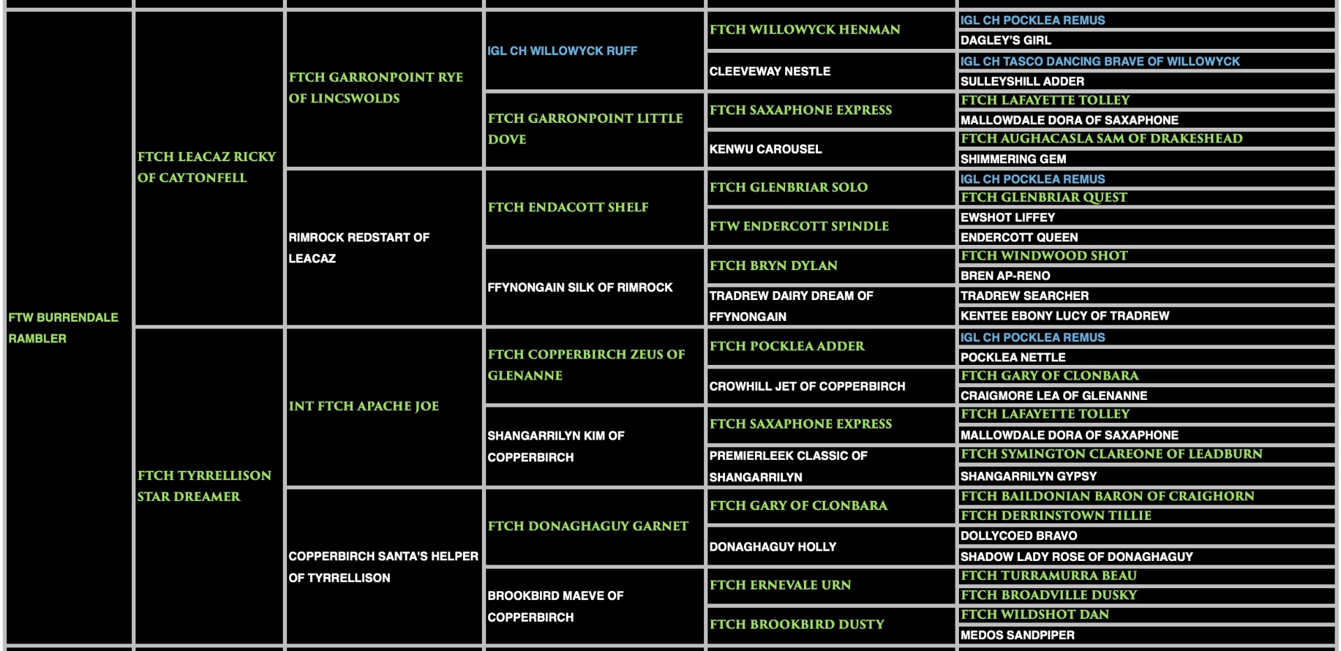 Rambler - FTW Burrendale Rambler Pedigree