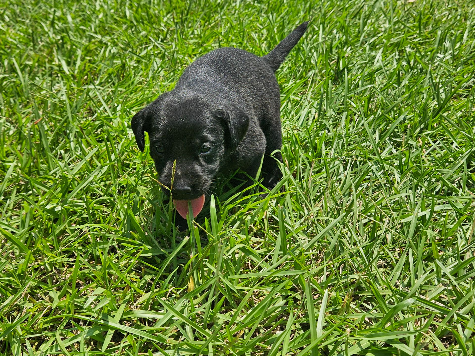 Toby 26 photo 2
