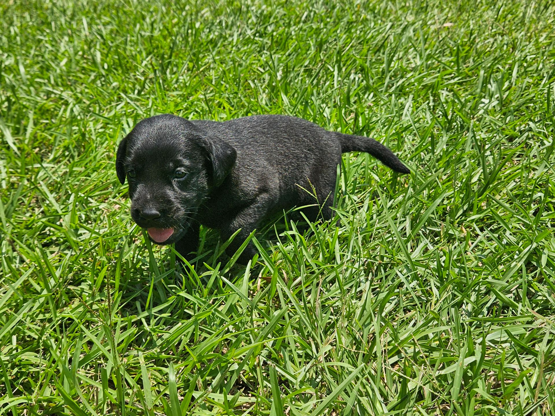 Toby 26 photo 3