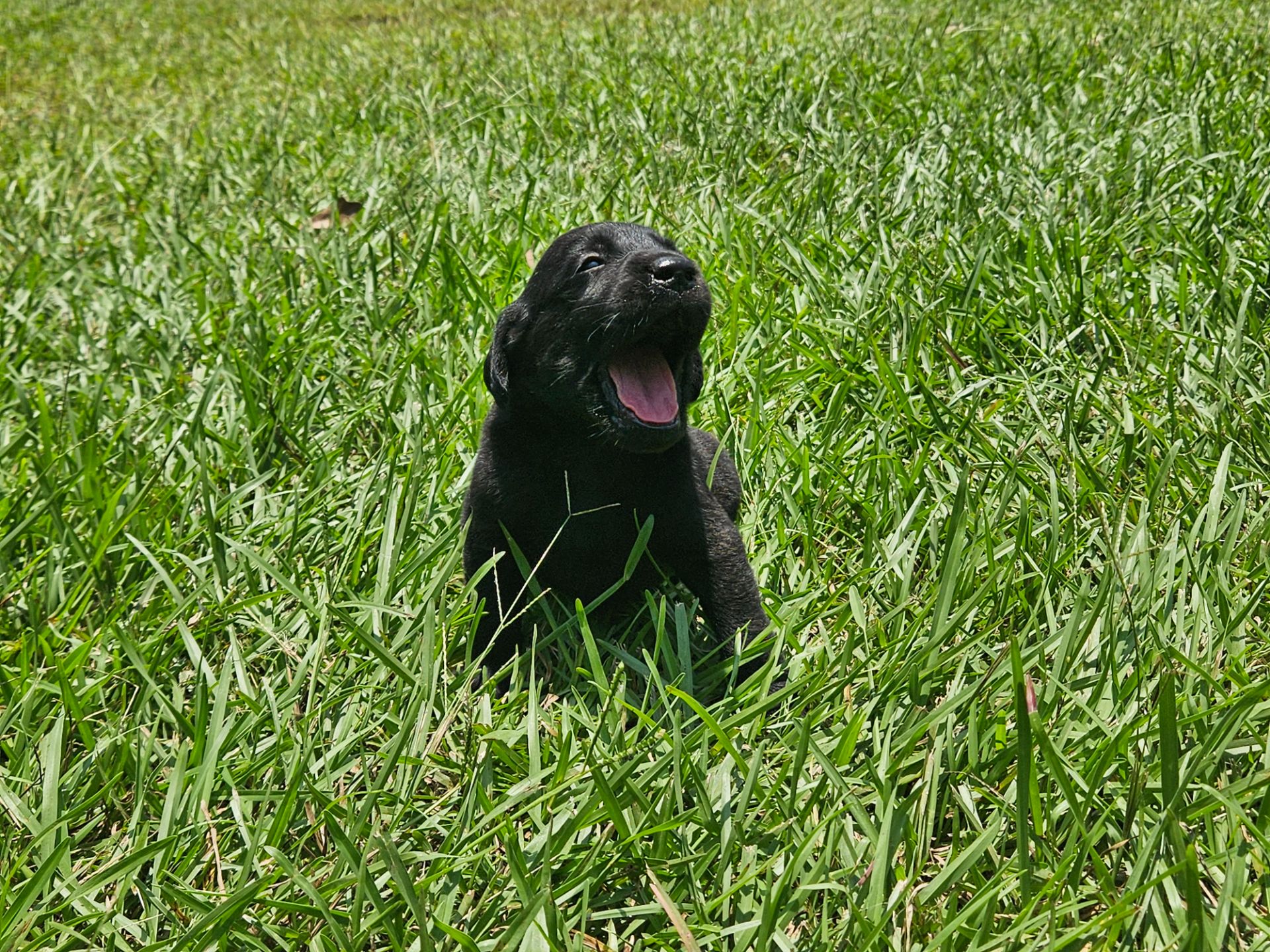 Toby 26 photo 4